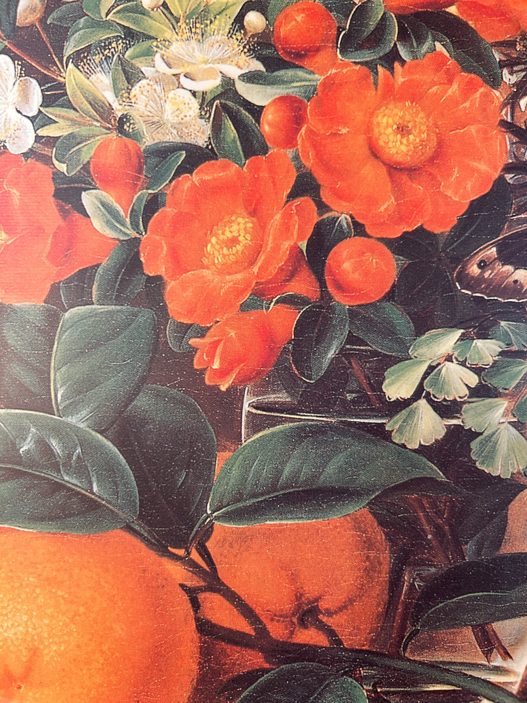 Orange Tray Pattern .PNG