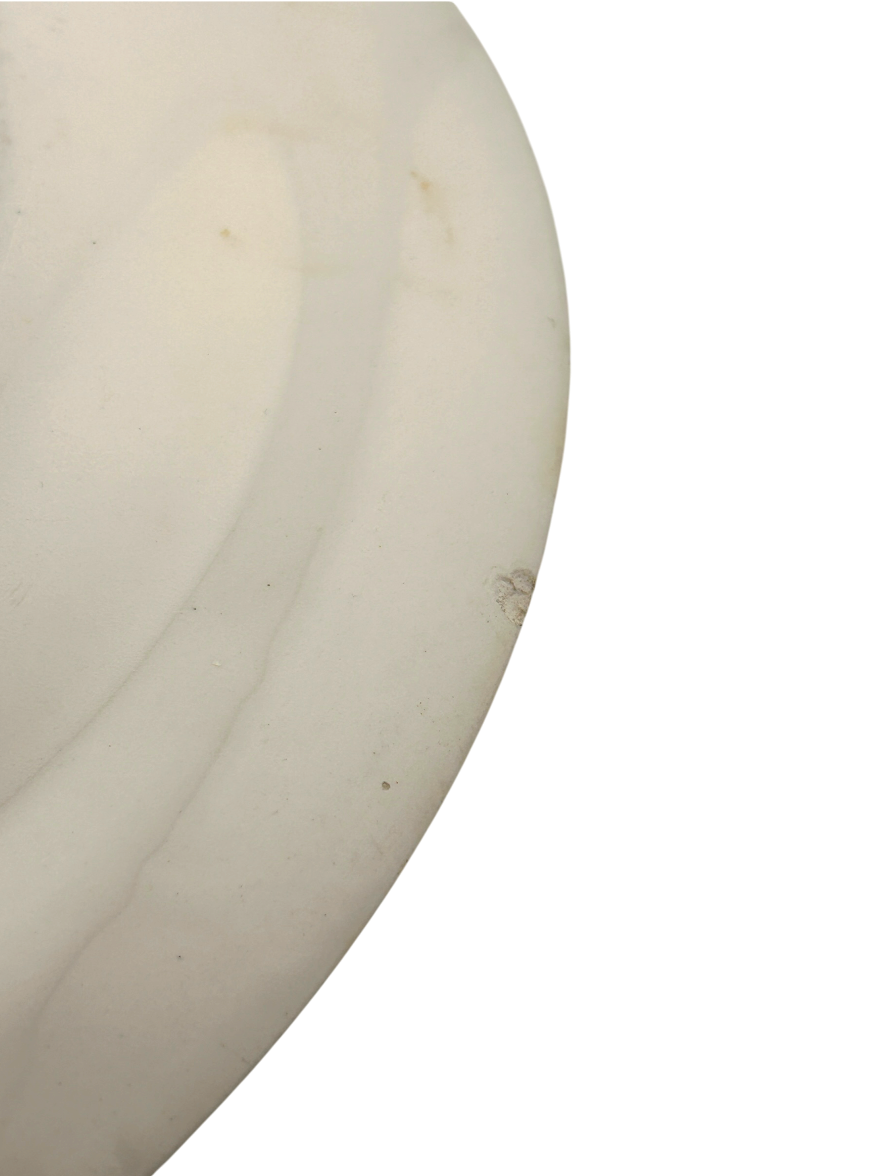 - vintage-royal-china-blue-willow-platter-chip-detail.PNG