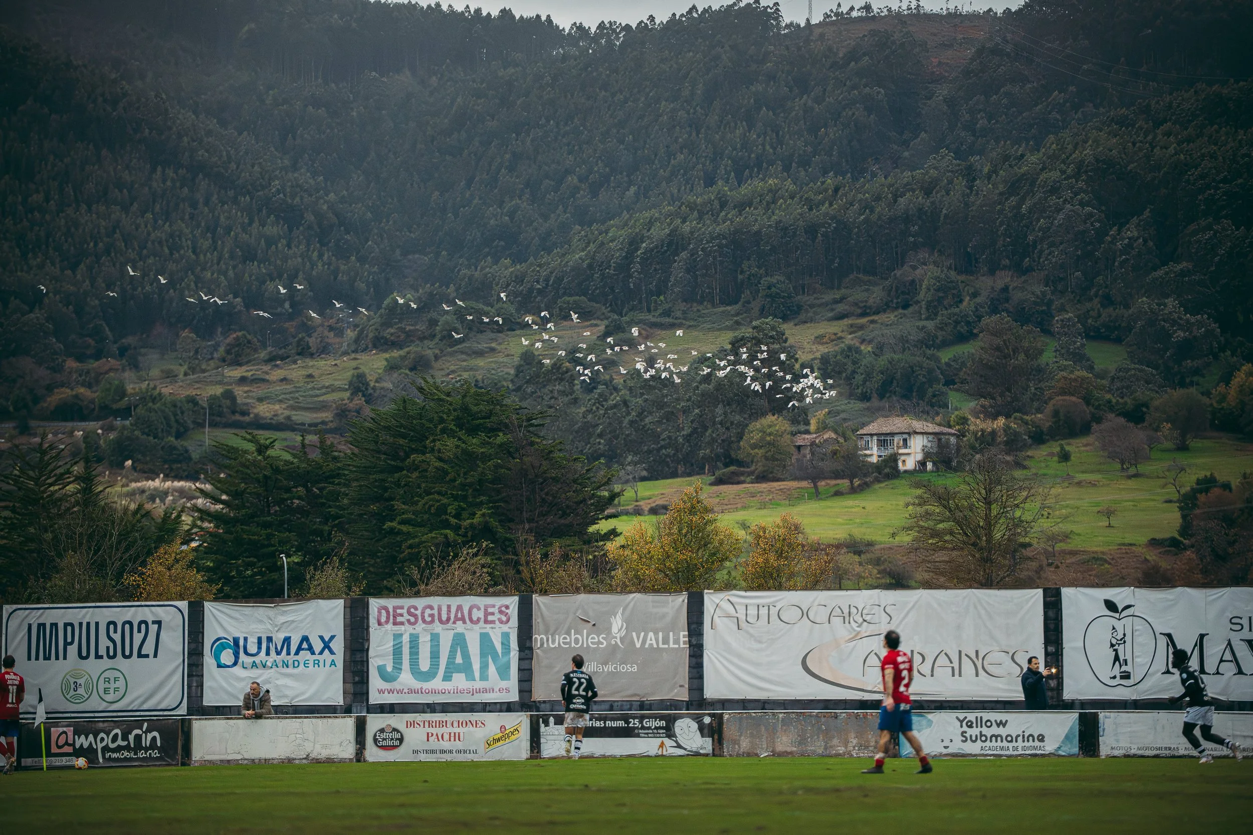 CDL_UDO_29_11_20257633 (1).jpg