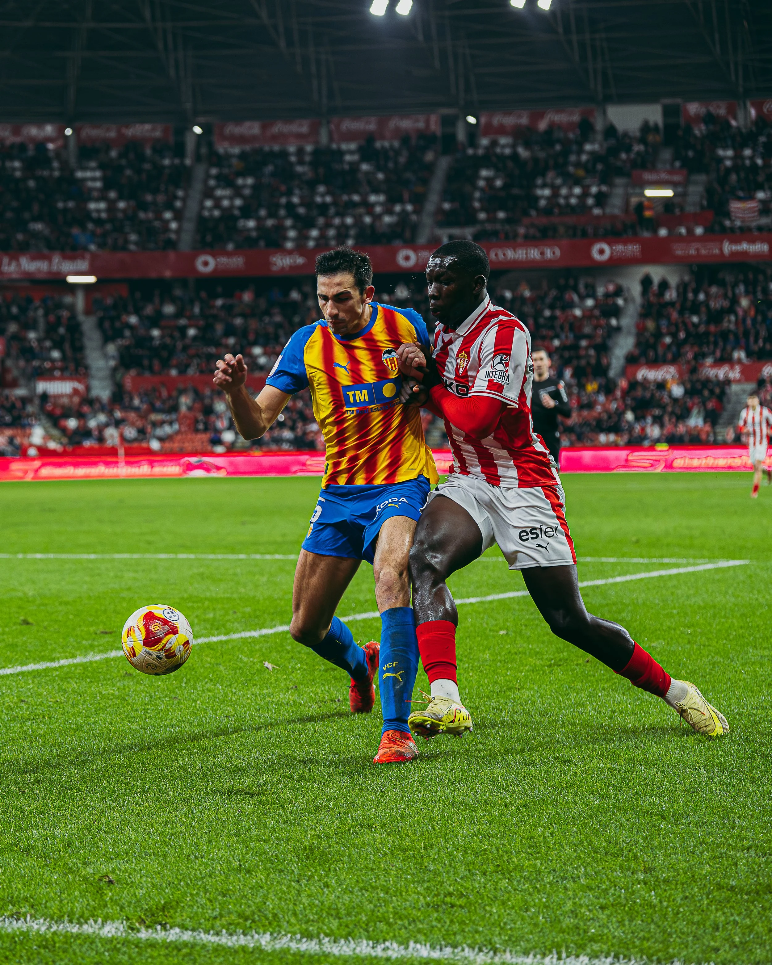  RSG_VCF_17_12_20256720.jpg