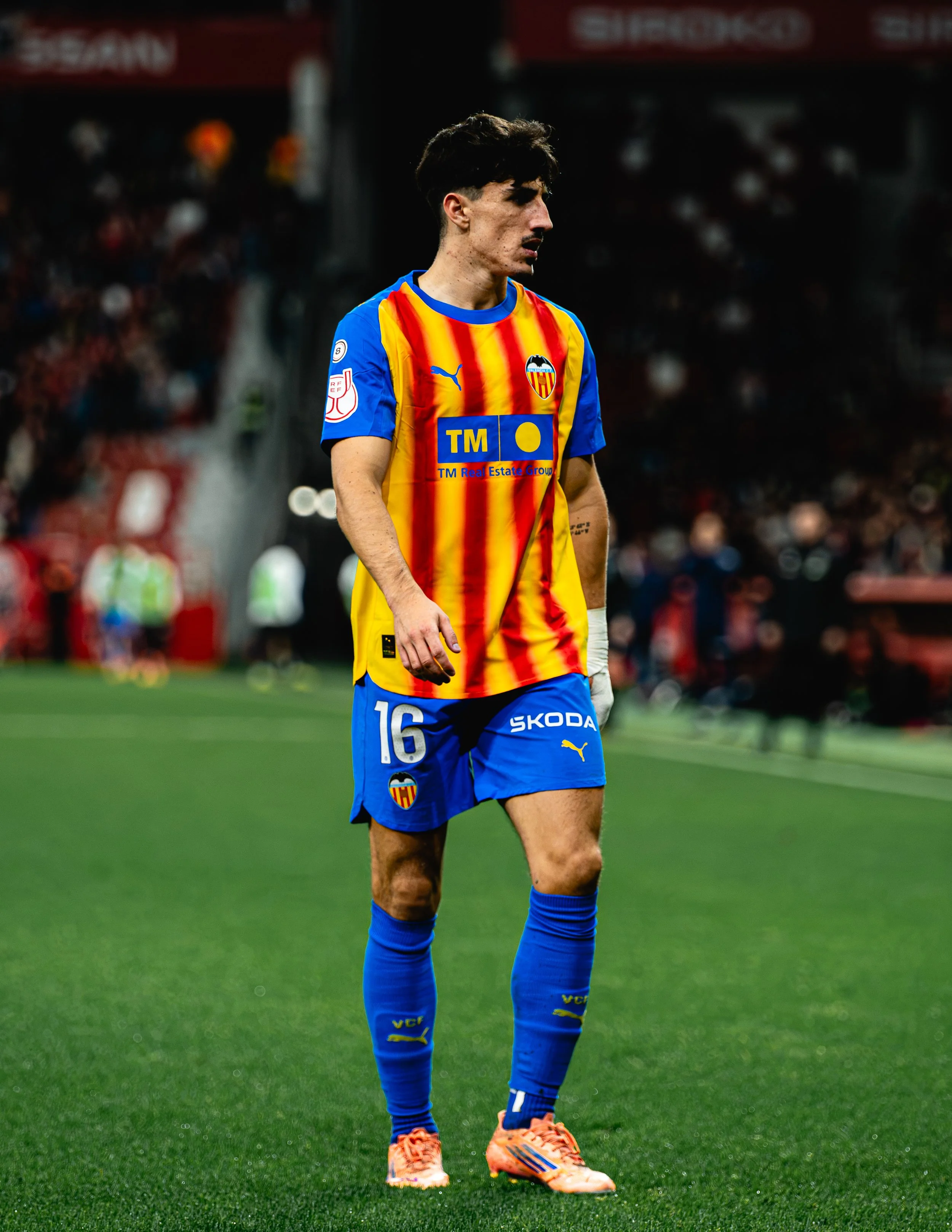 RSG_VCF_17_12_20256331.jpg