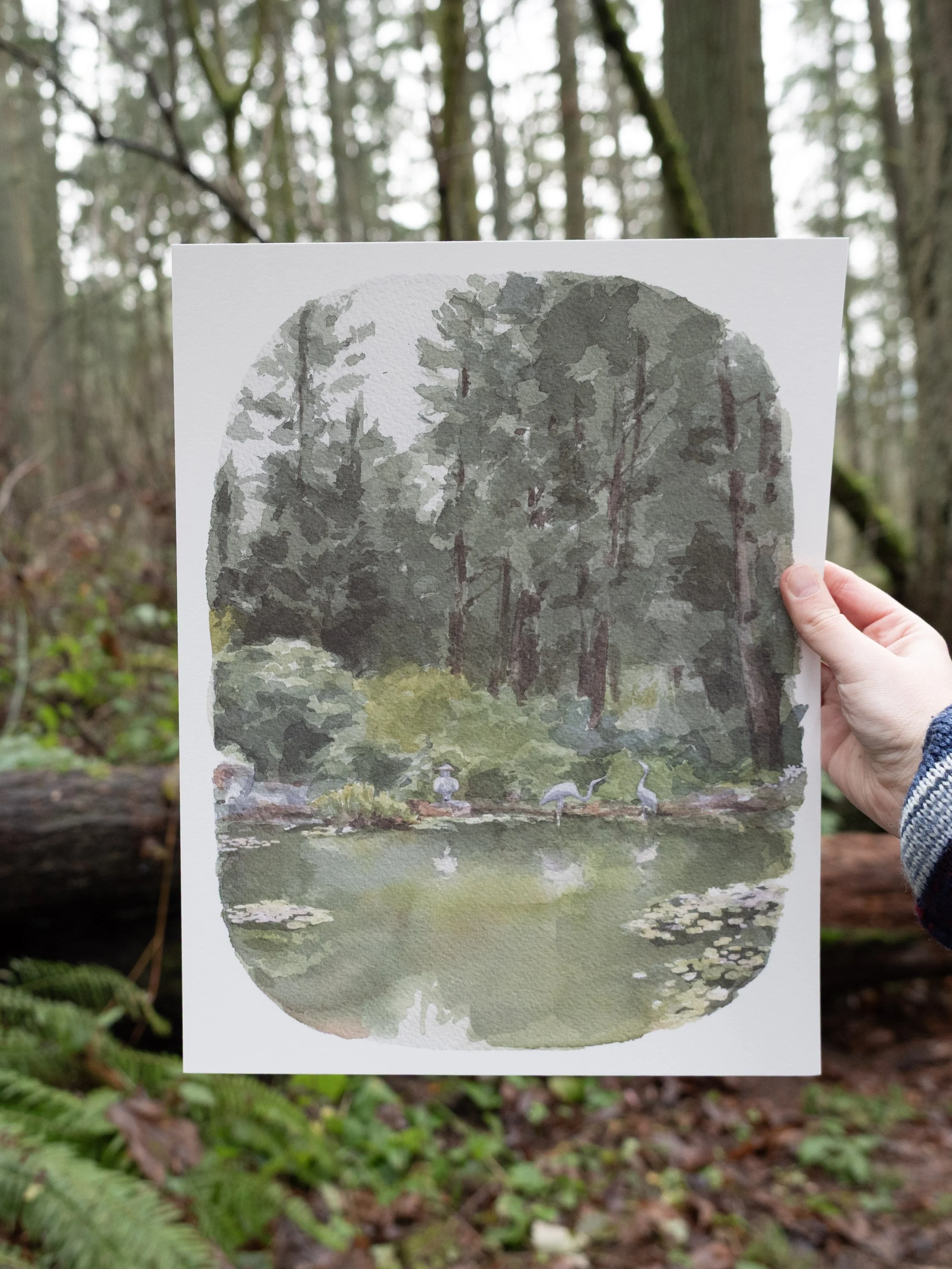 Reflection of Shore Acres Art Print