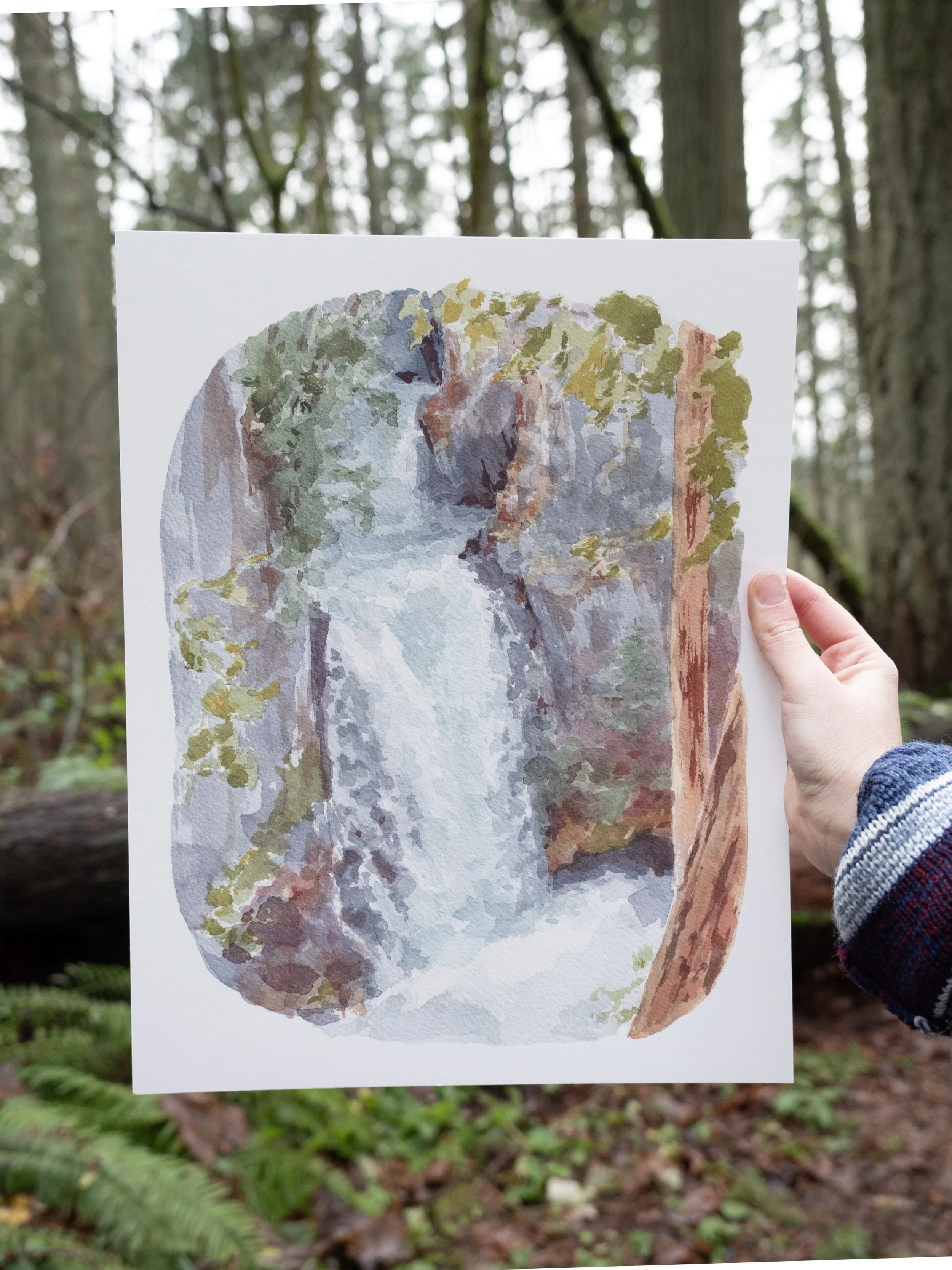 Rushing Toketee Falls Art Print