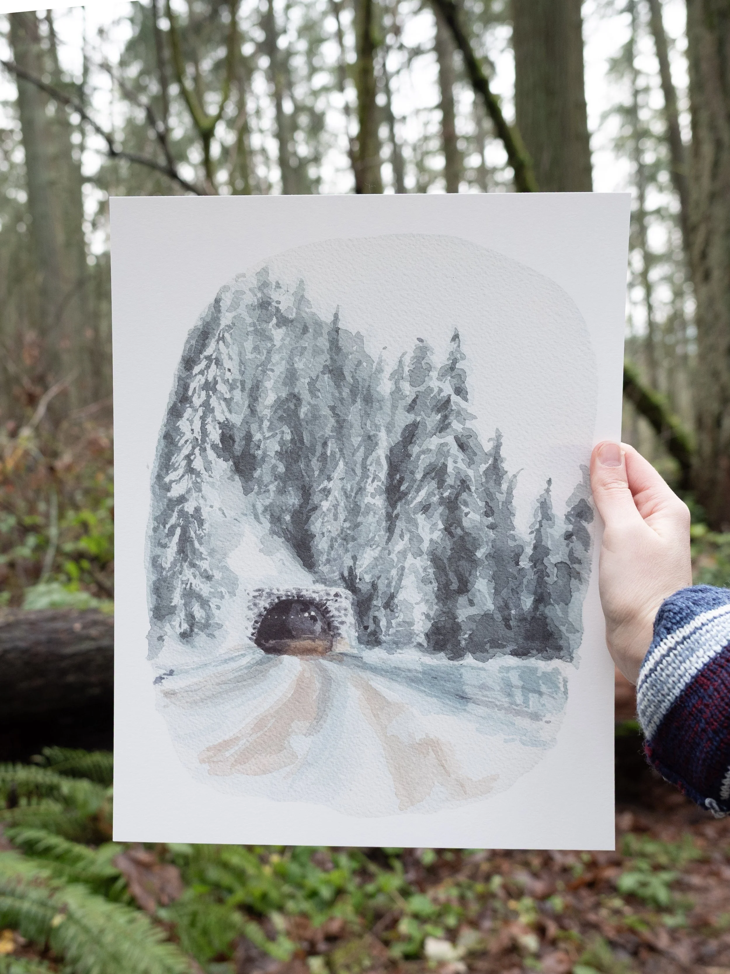 A Winter through the Willamette Art Print