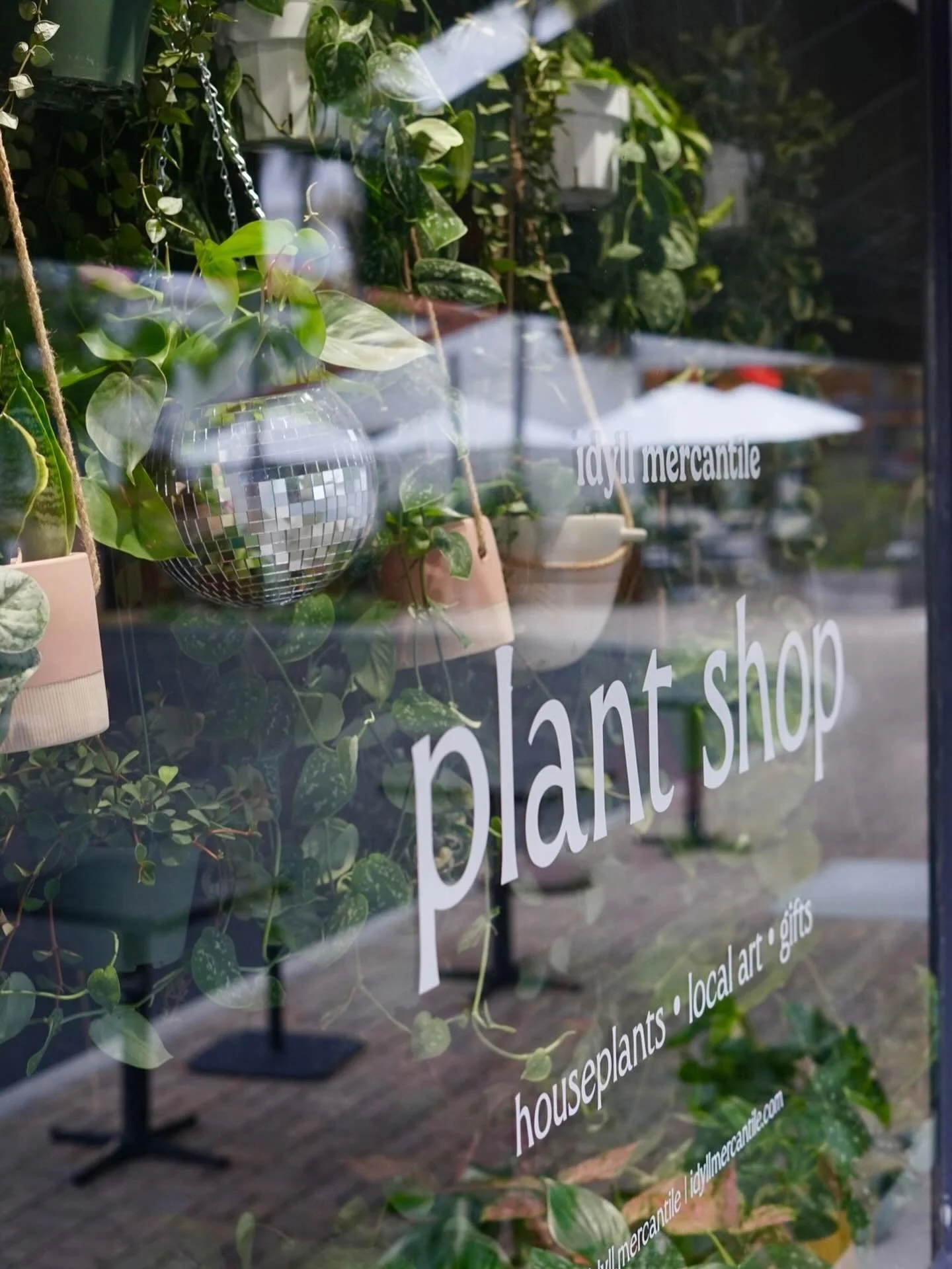 EVERYTHING IS PLANTS! Everything in our shop either is a plant or is inspired by plants! Ceramics? Made of earth! Soaps? Made with flowers. Prints? Kelp and flowers! Beeswax candles?? Flowers BFFs!!

Plants! We love them and we love working with peop
