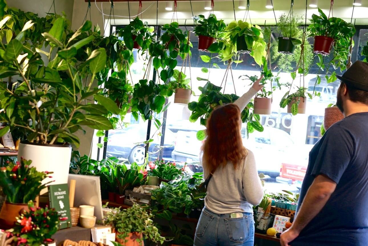 Plant shopping 🌿 open in the rain, we hope everyone is safe and cozy 🥰