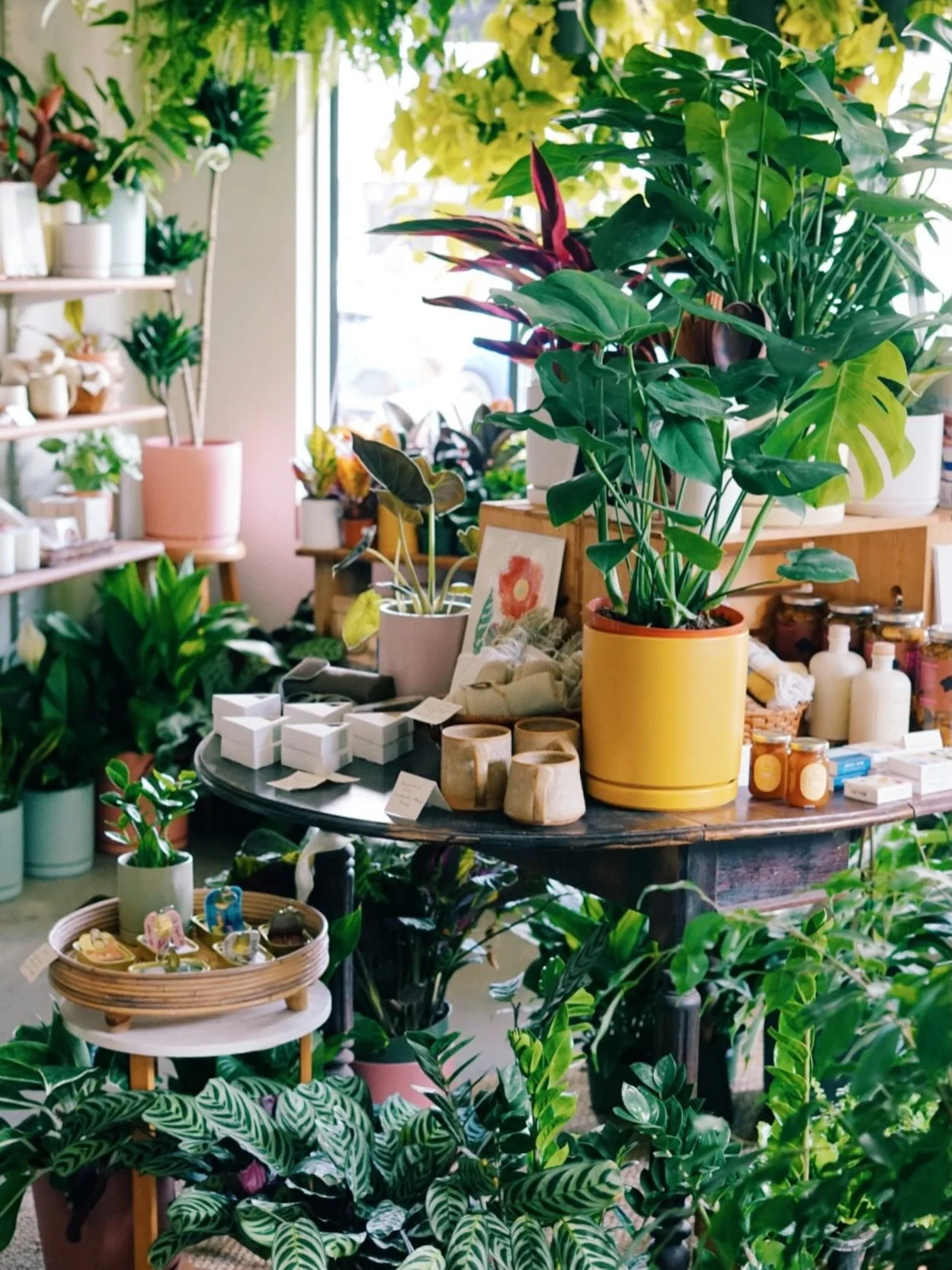 Happy summer solstice from the sunny corners of your home ☀️🌿