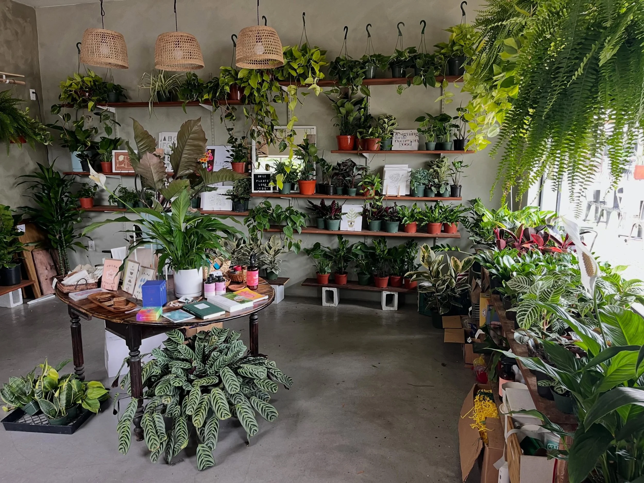 This morning -> the shop at closing time -> my car full of plants for the last time 🥲

I am happy to say I bought enough plants because I still have some available for you tomorrow! All of them are 22% off 💚 I&rsquo;ve been so touched by all 