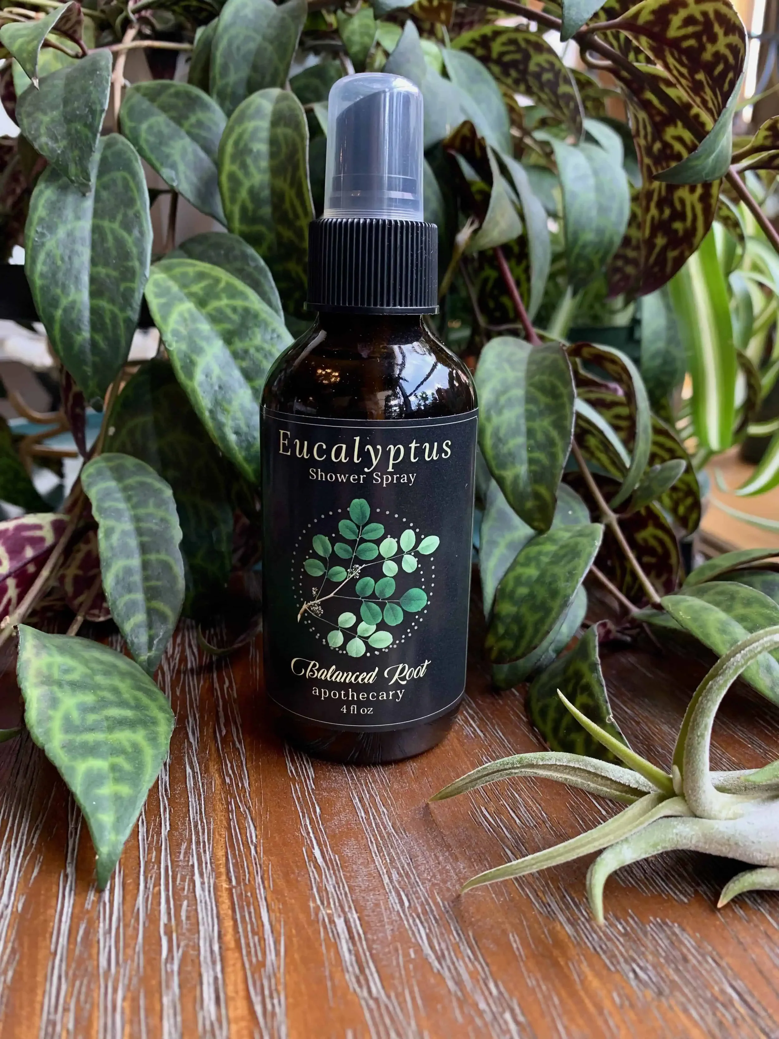 Eucalyptus Shower Spray