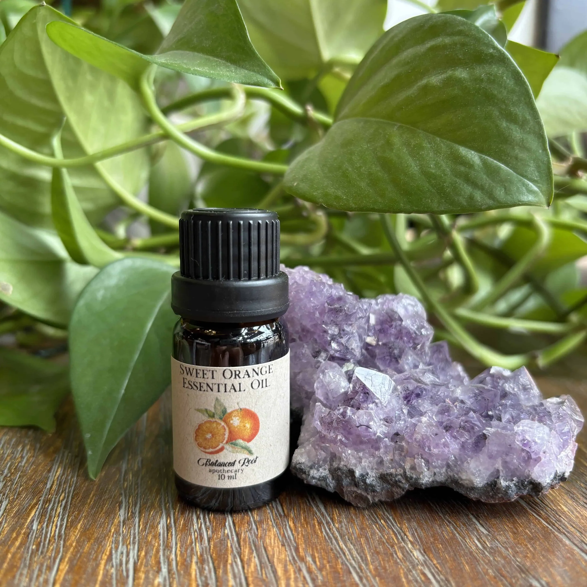 Sweet Orange Essential Oil