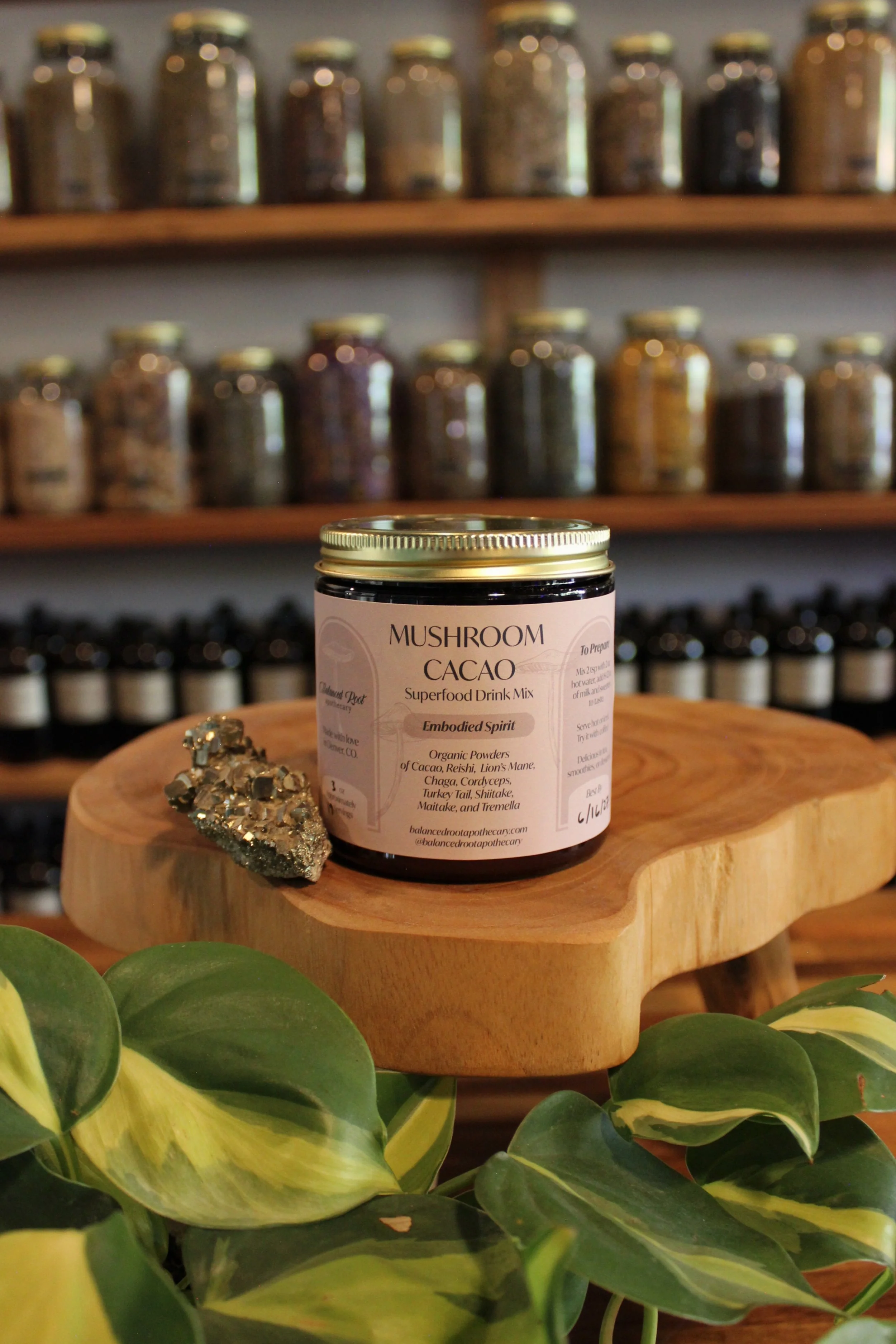 Mushroom Cacao.JPG