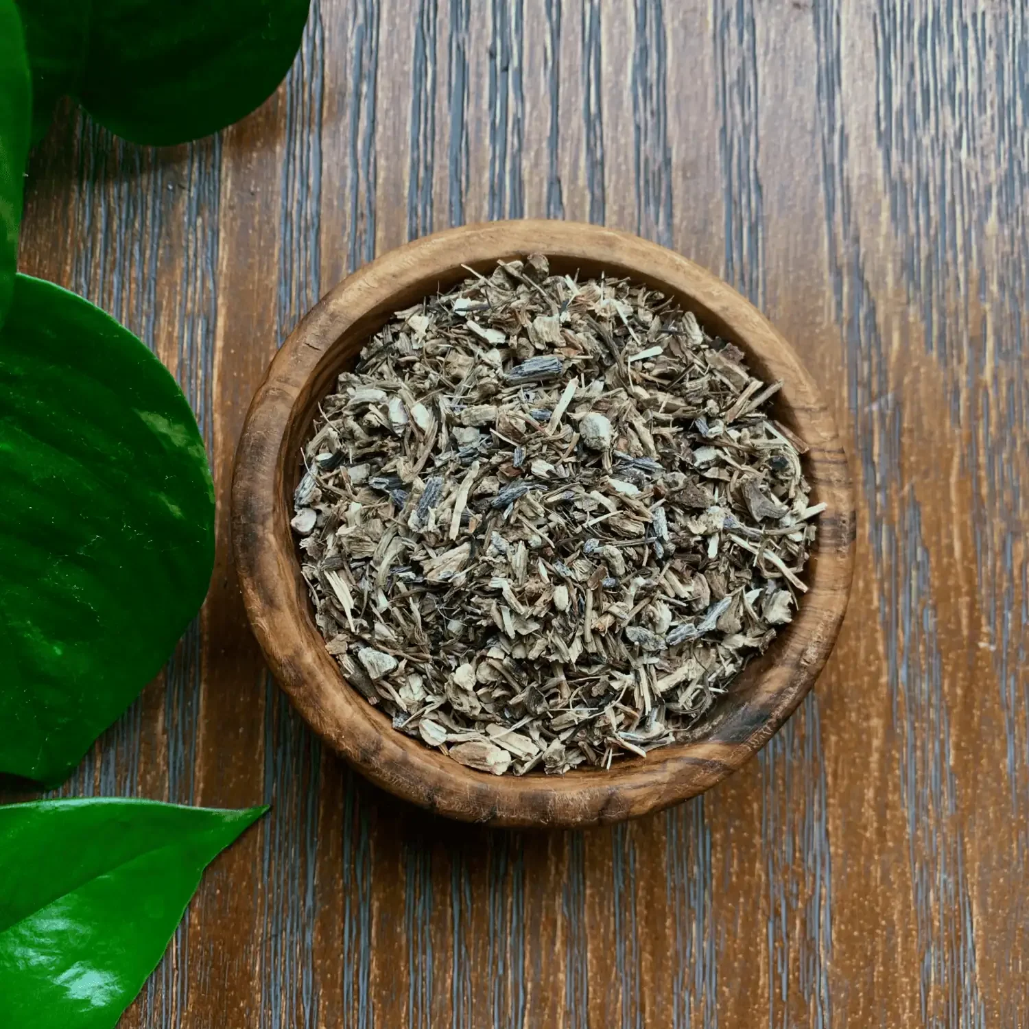Echinacea Root