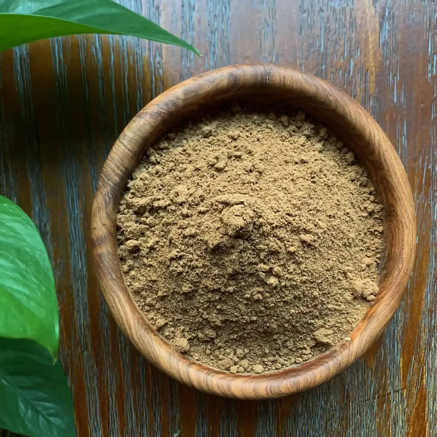 Reishi Mushroom Powder