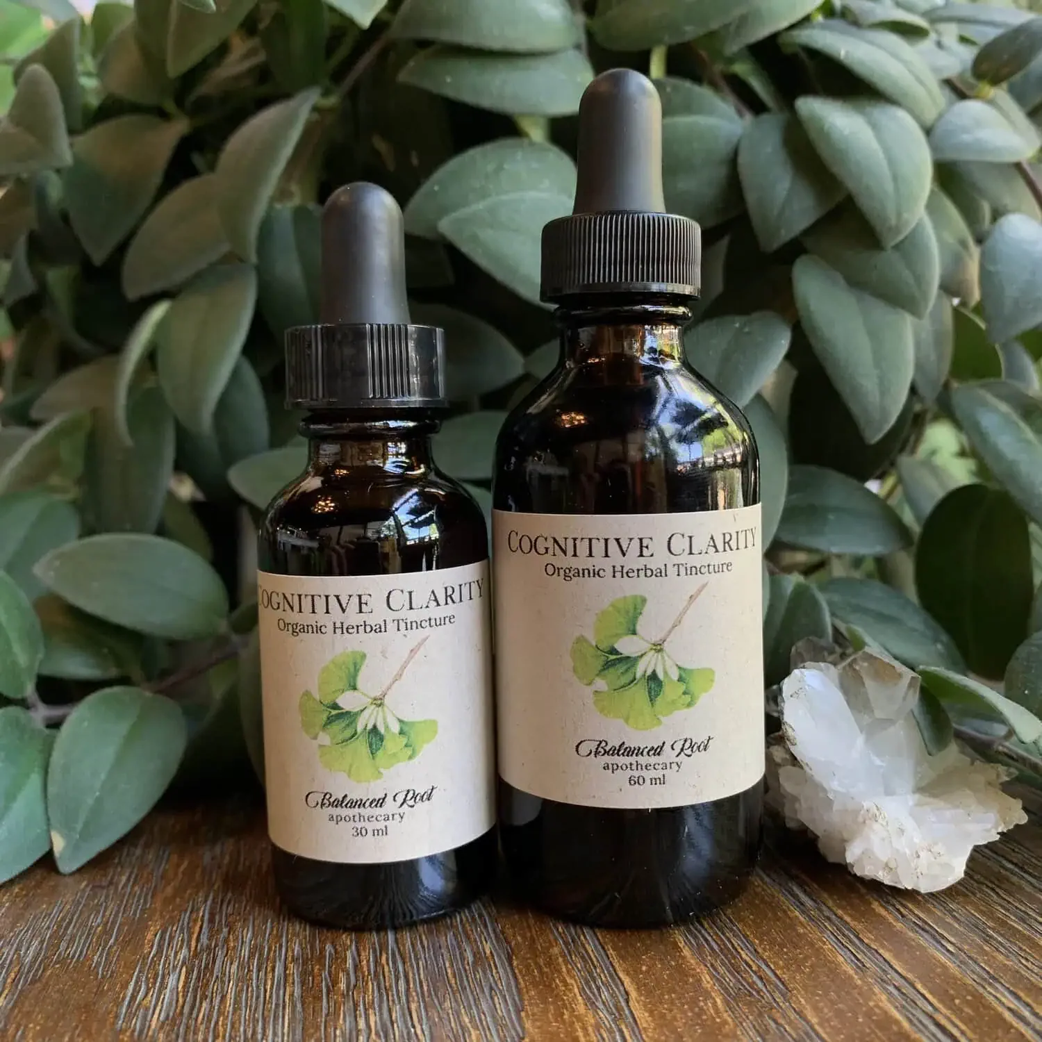 Cognitive Clarity Tincture