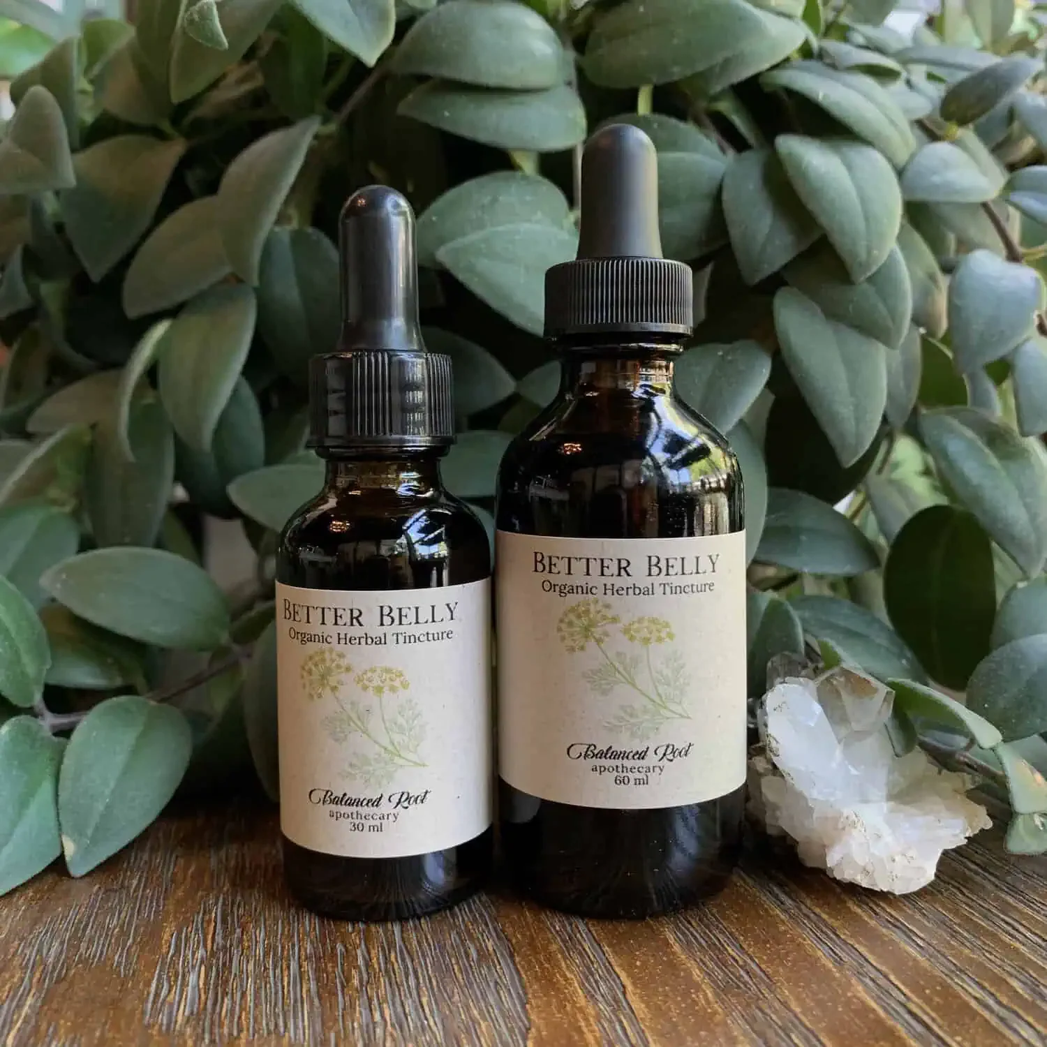 Better Belly Tincture