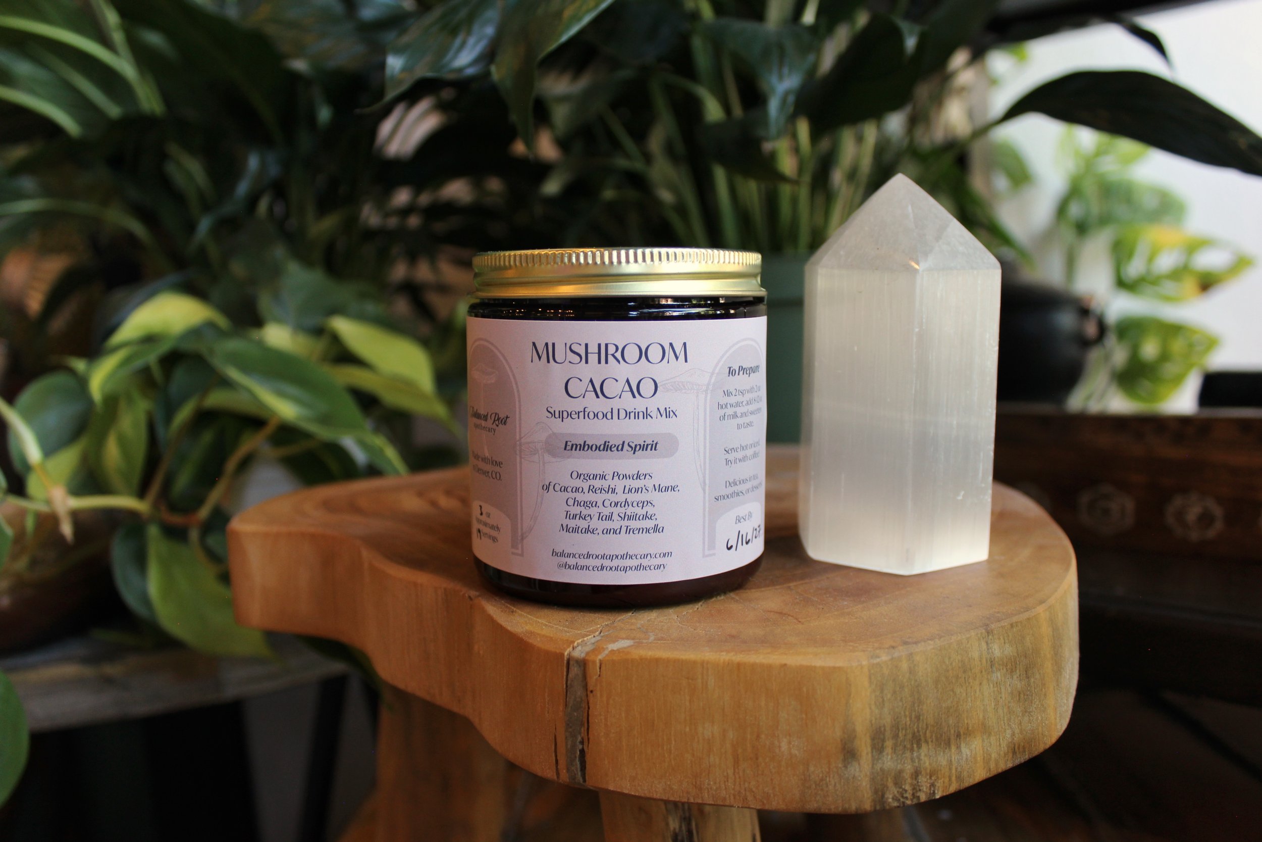 Mushroom Cacao(1).JPG