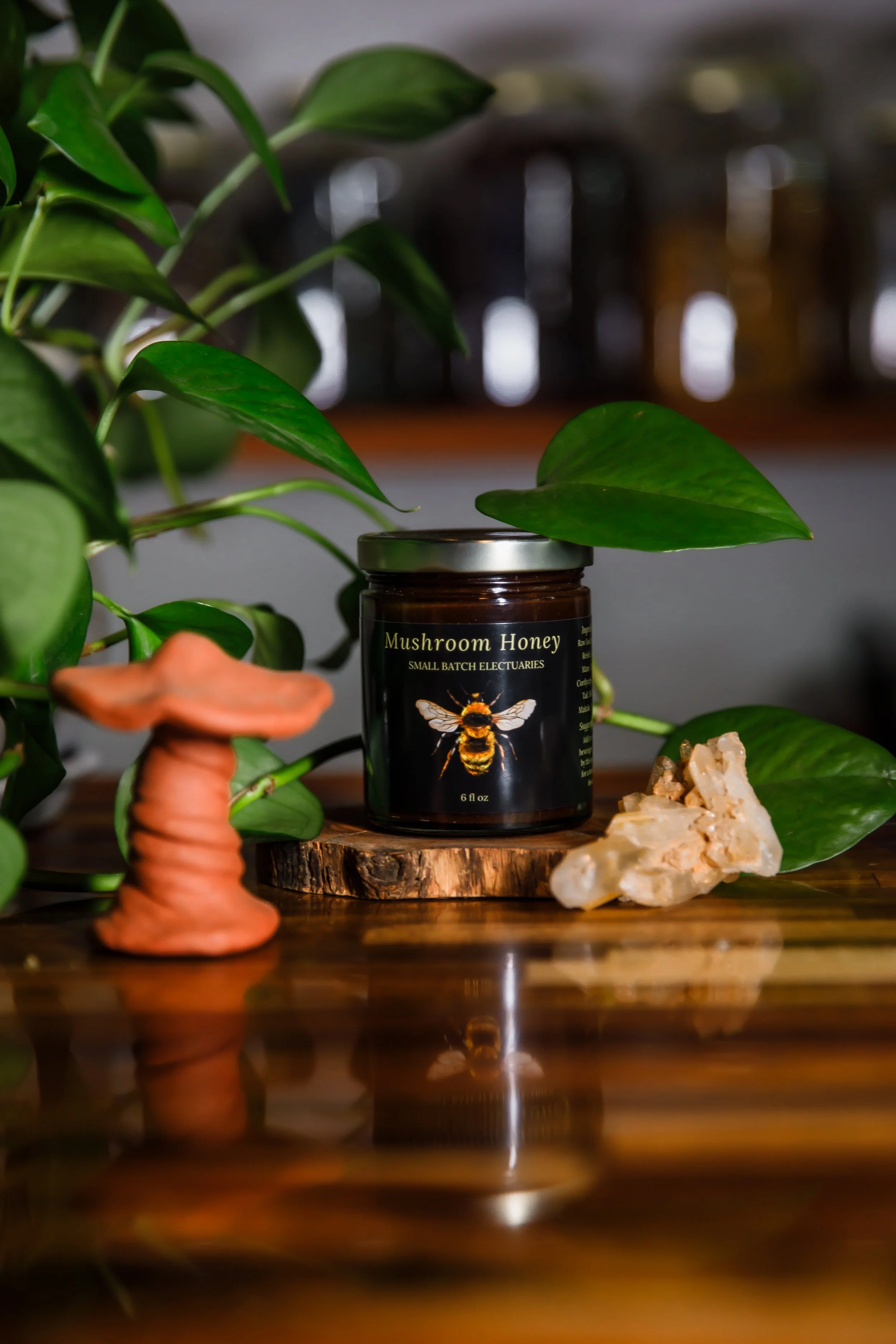 Balanced Root and Portraits-028.jpg