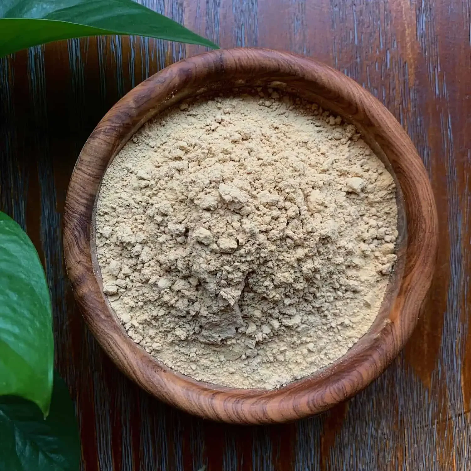 Lion's Mane Mushroom Powder