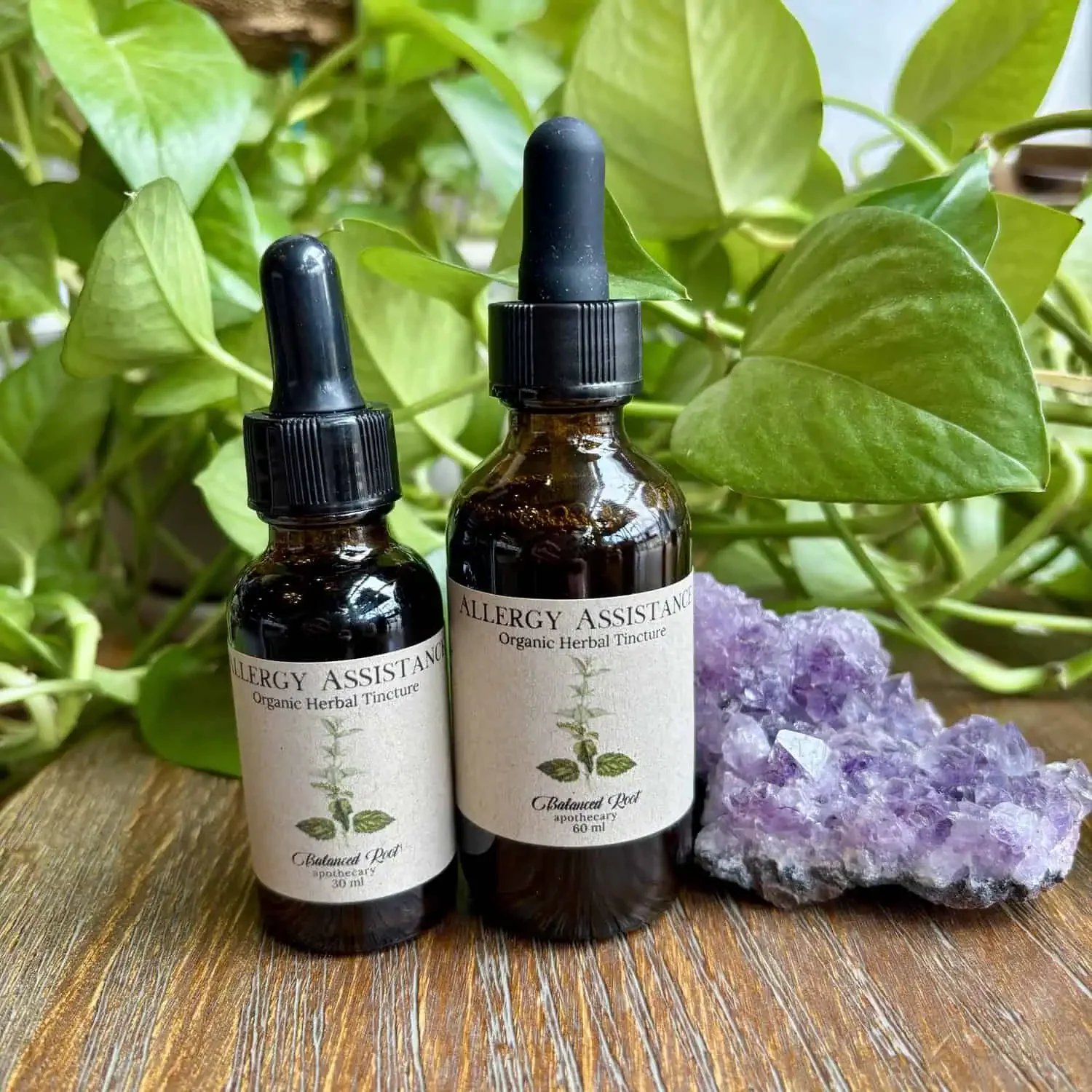 Allergy Assistance Tincture