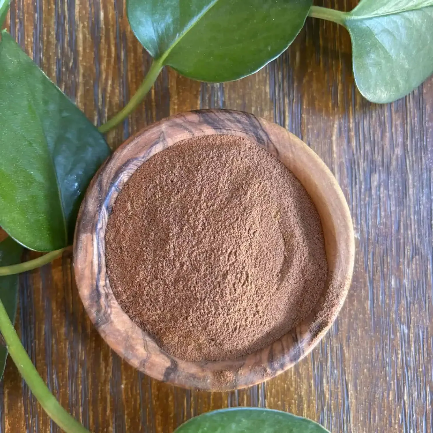 Cinnamon Powder