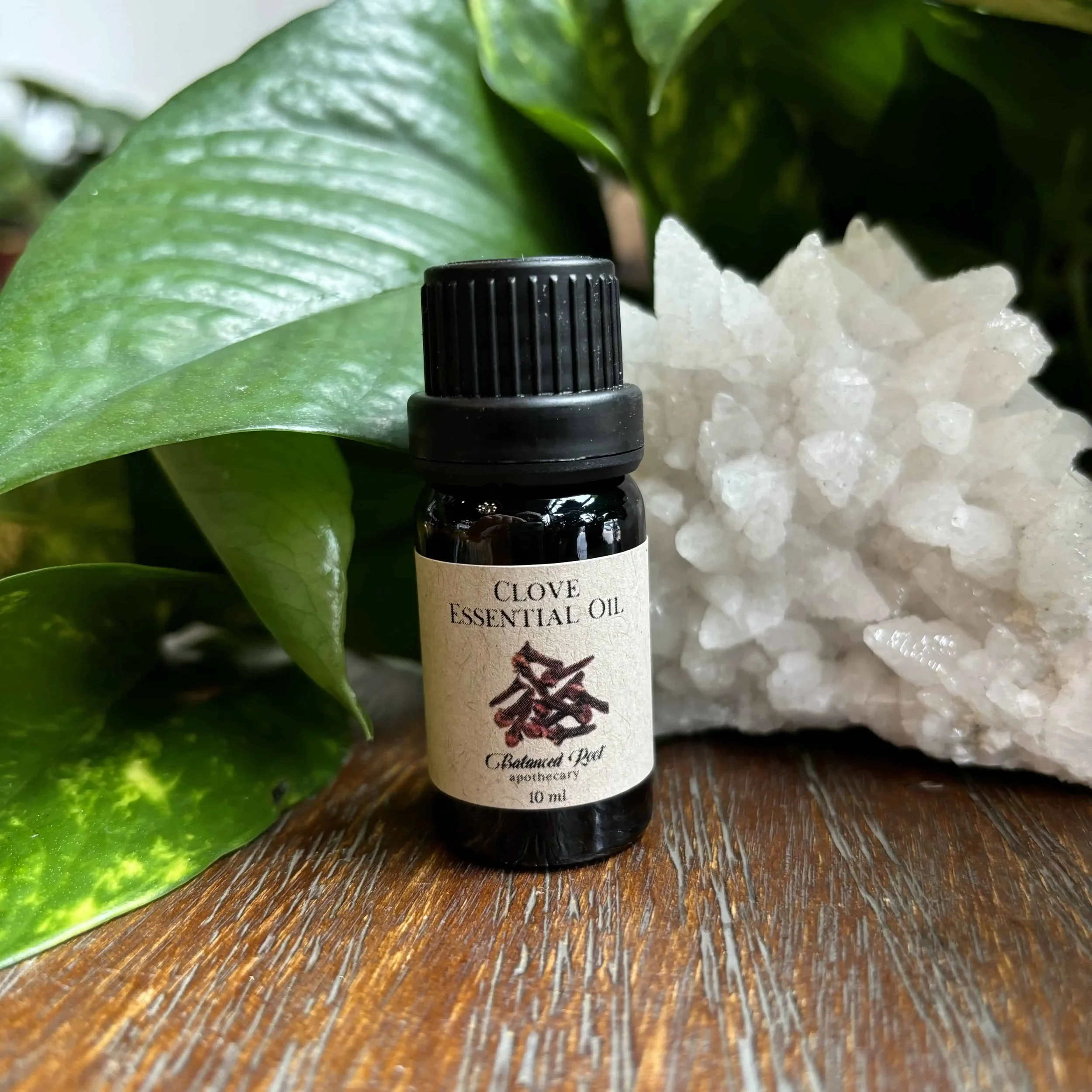 Clove Essential Oil