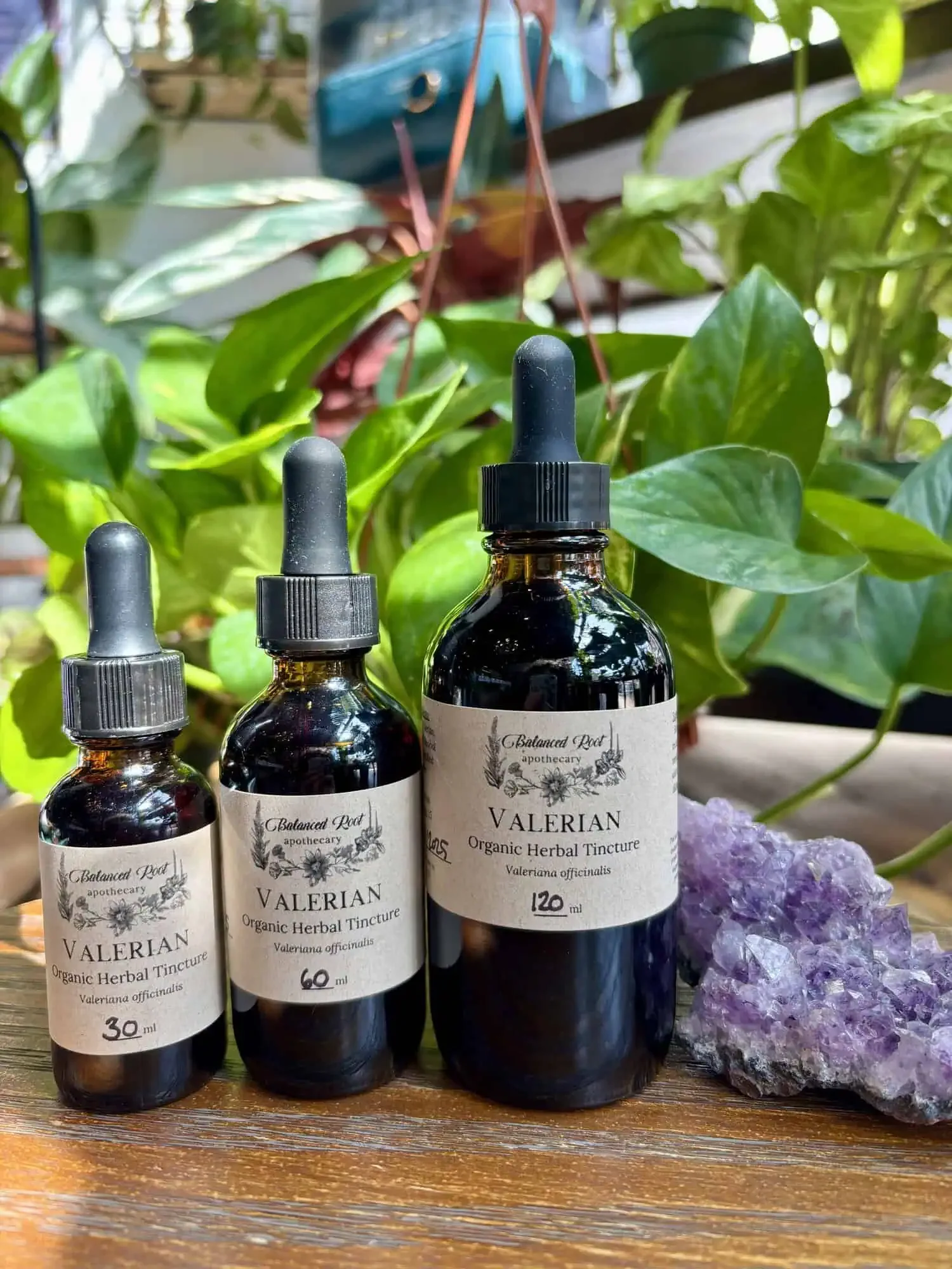 Valerian Root Tincture