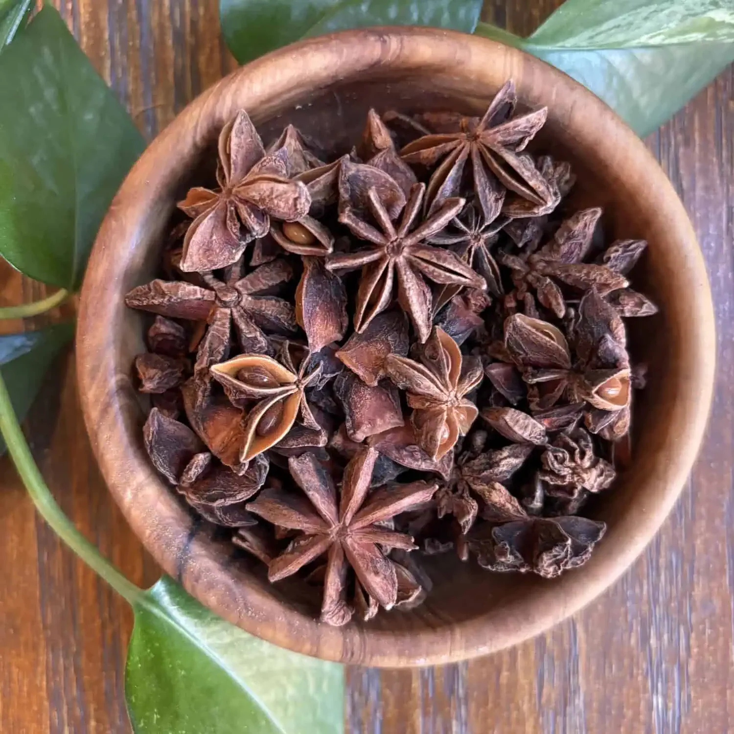 Star Anise