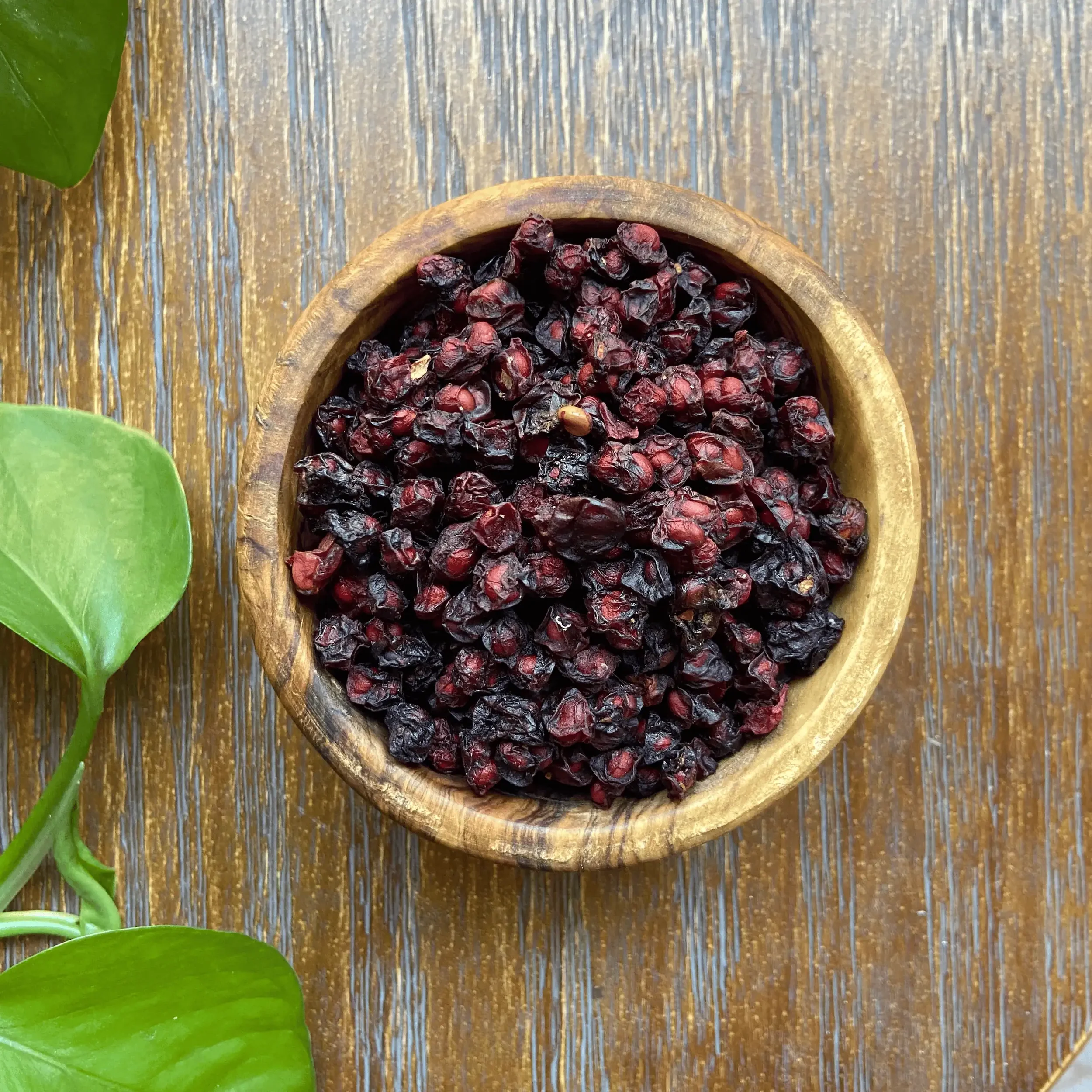 Schisandra Berry