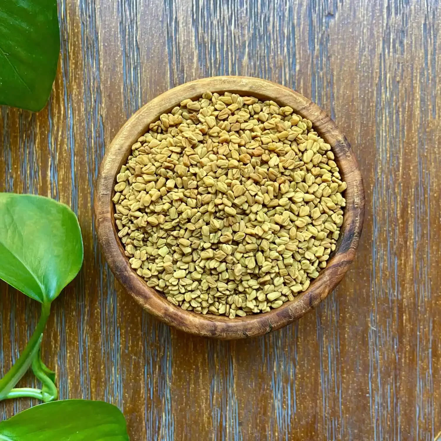 Fenugreek Seed