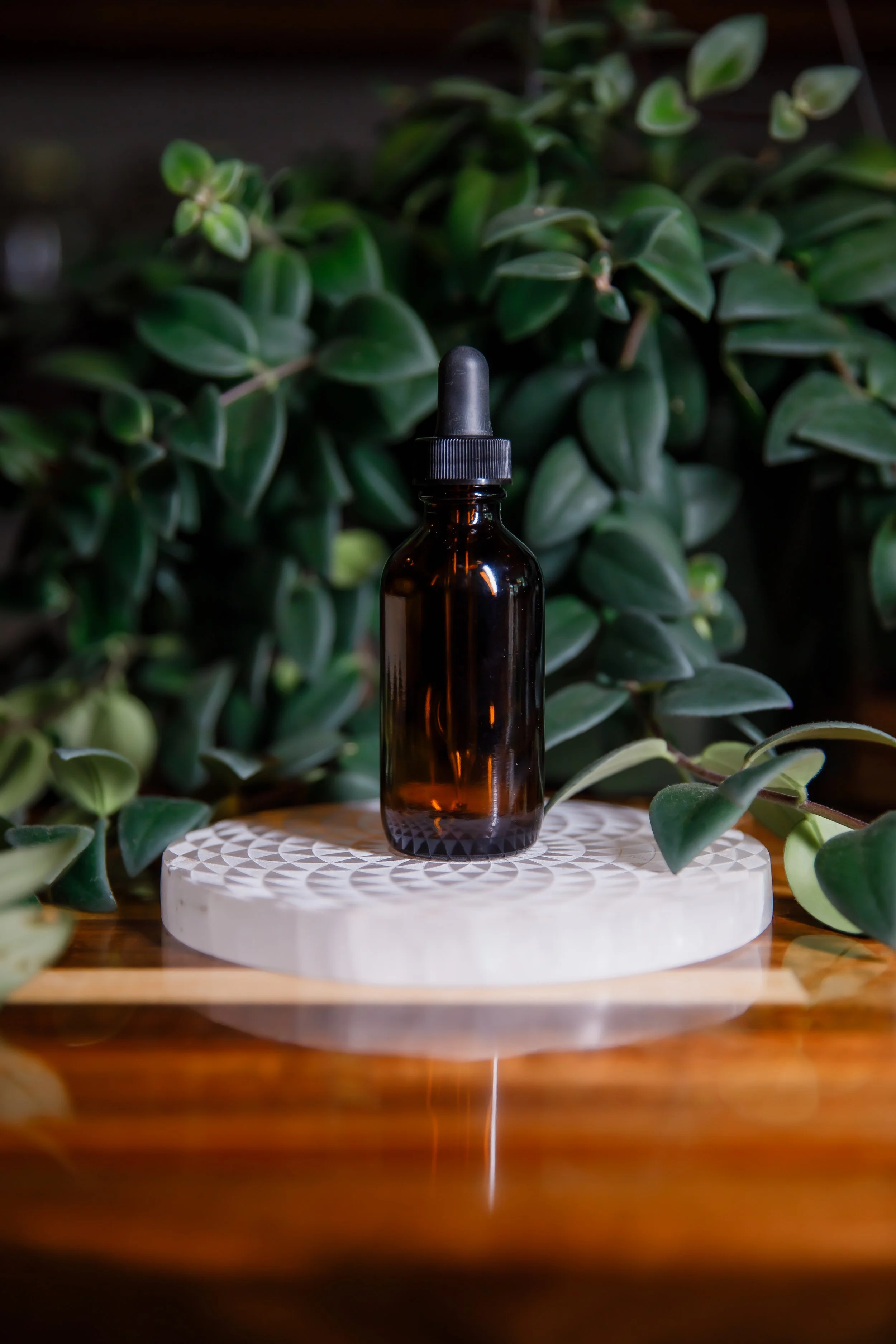 Balanced Root and Portraits-079.jpg