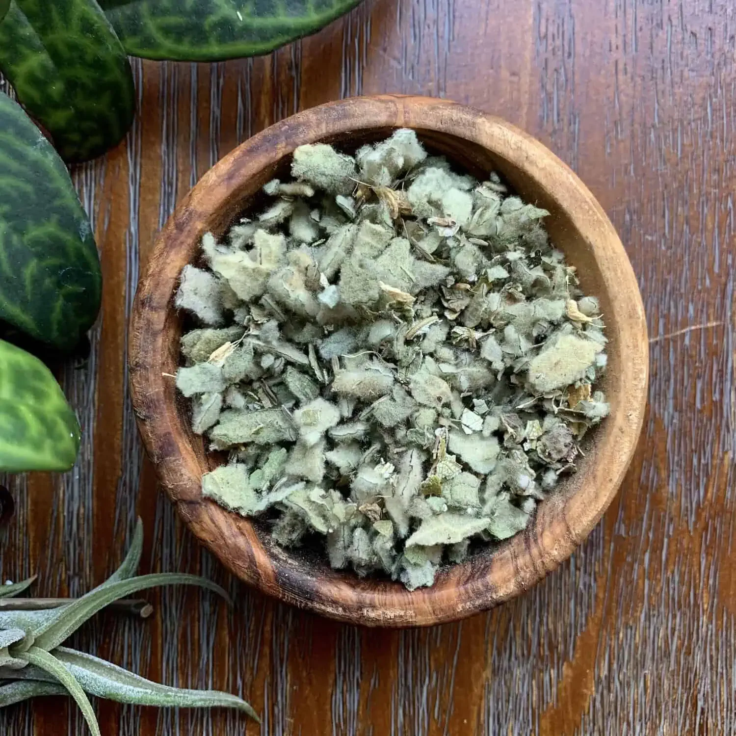 Respiratory Expectorant