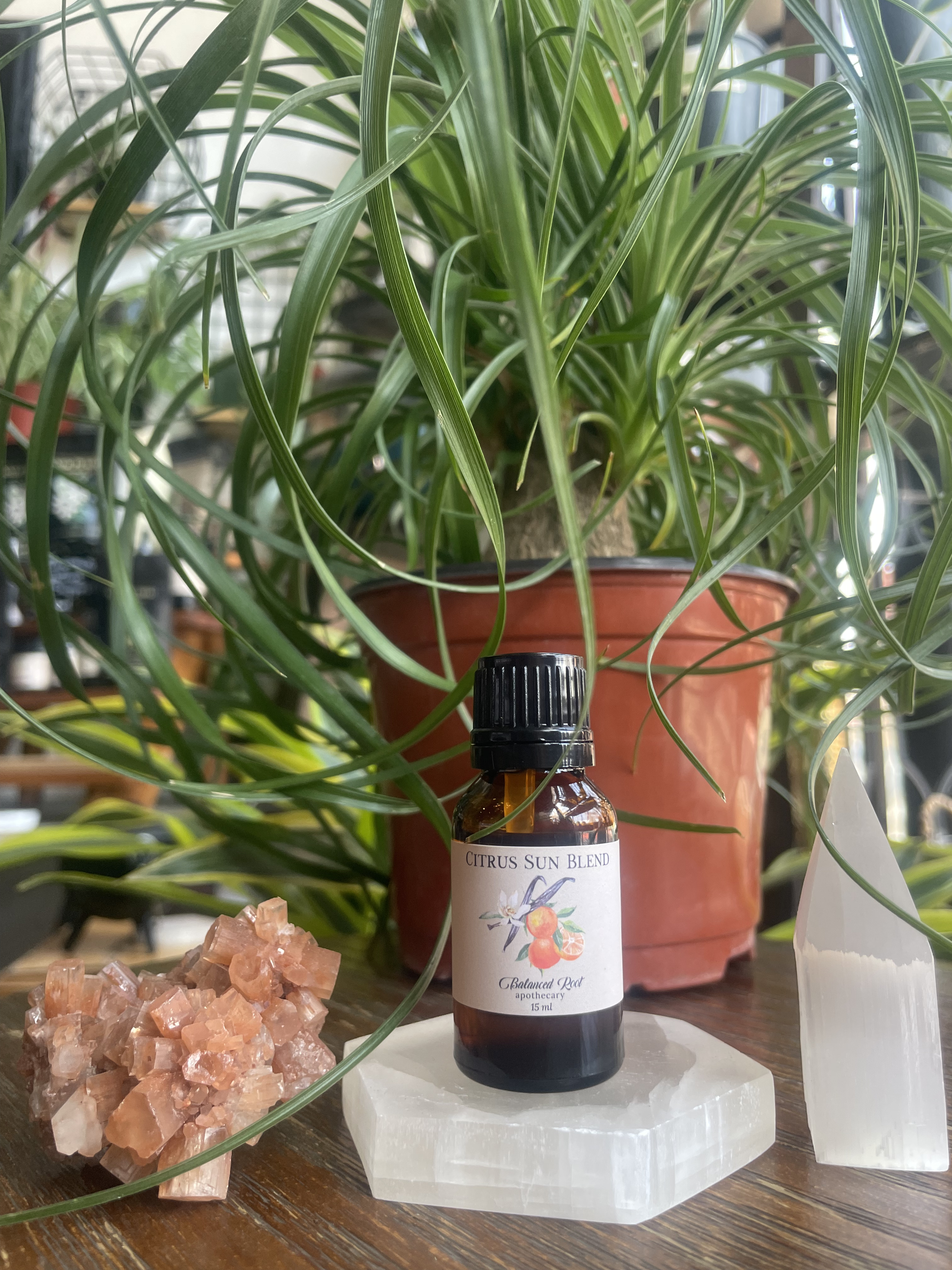 Citrus Sun Concentrate