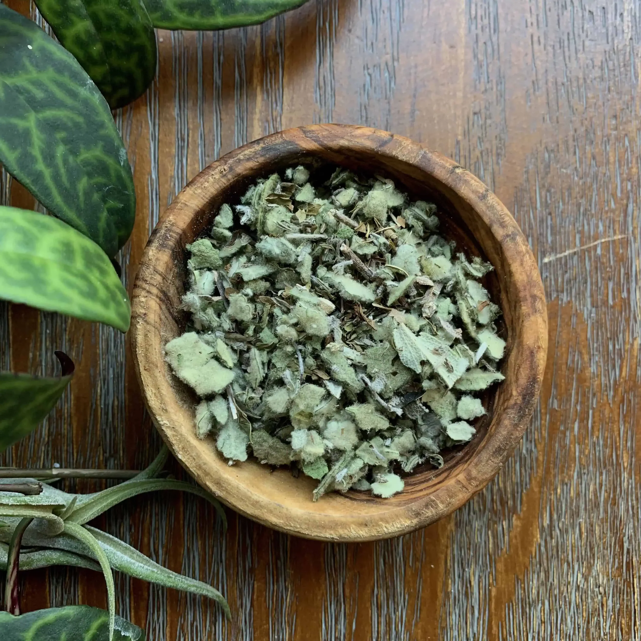 Sinus Relief Steam.webp