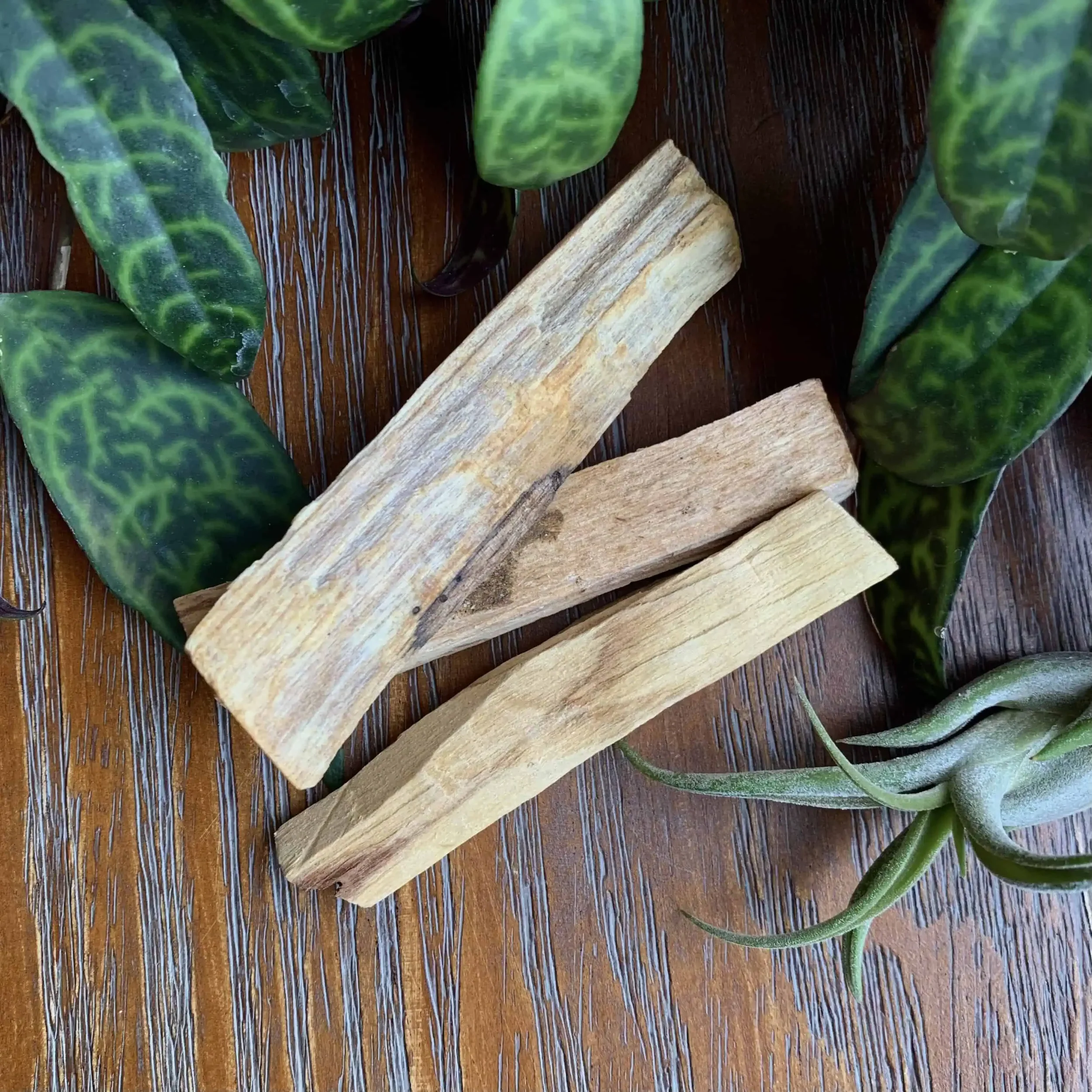 Palo Santo Sticks