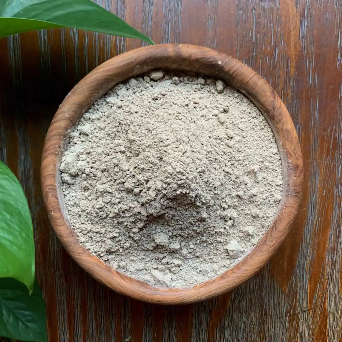 Turkey Tail Mushroom Powder