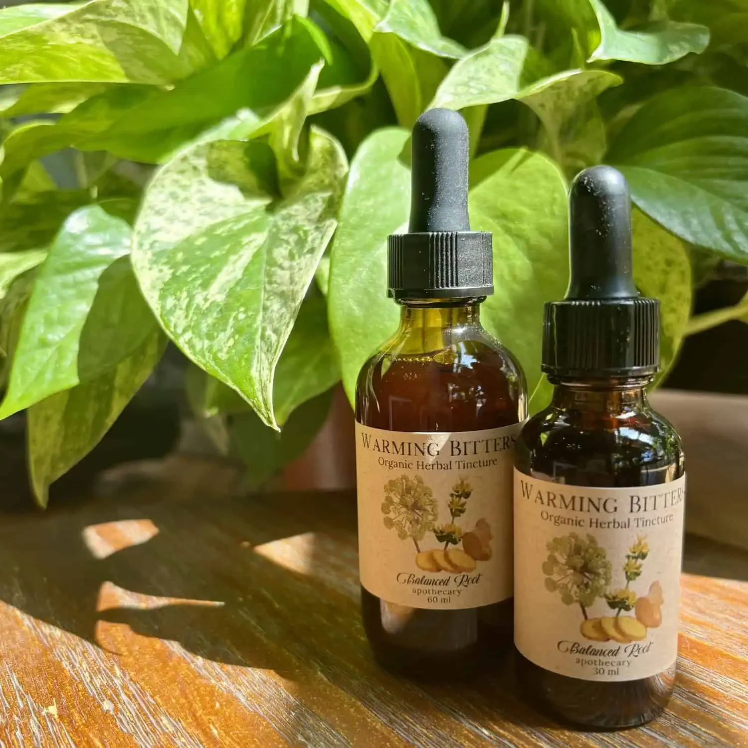 Warming Bitters Tincture