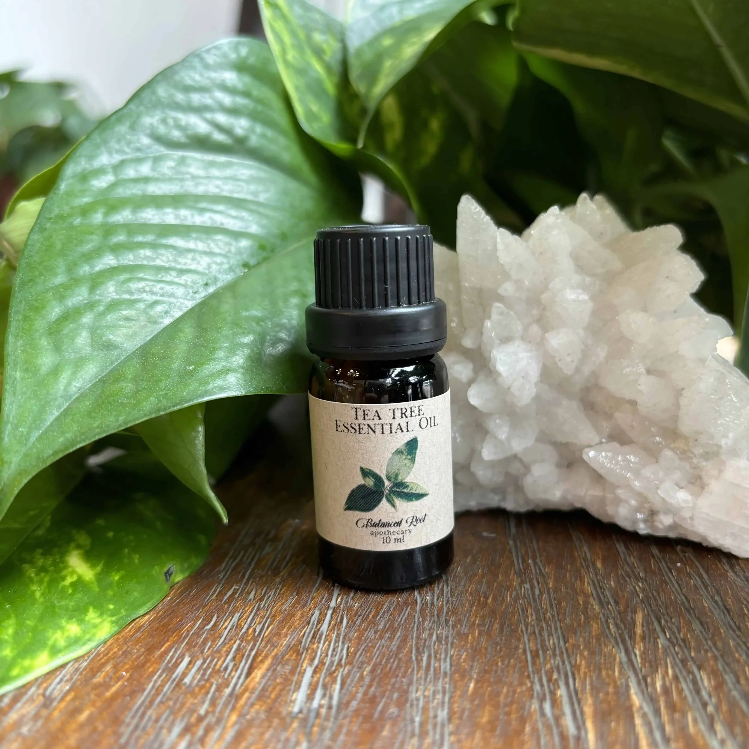Tea Tree Essential Oil