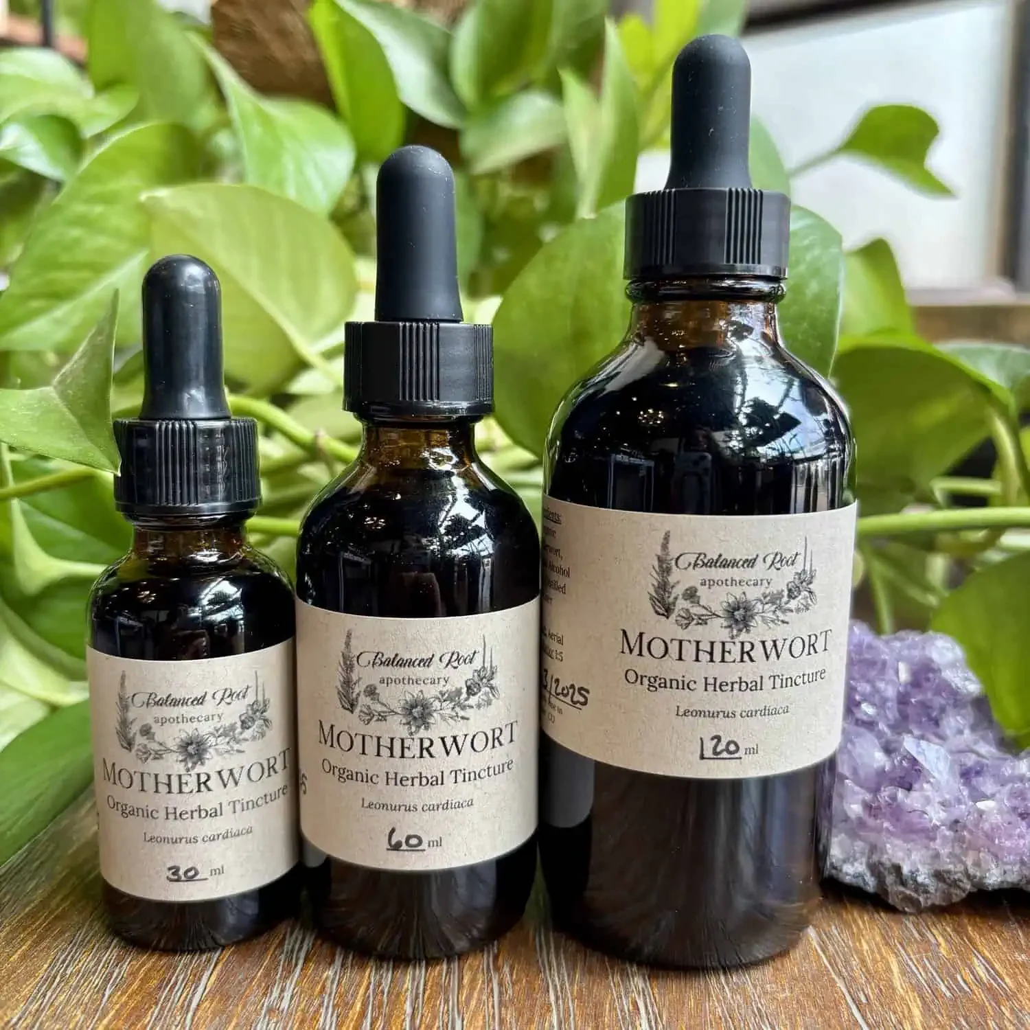 Motherwort Tincture