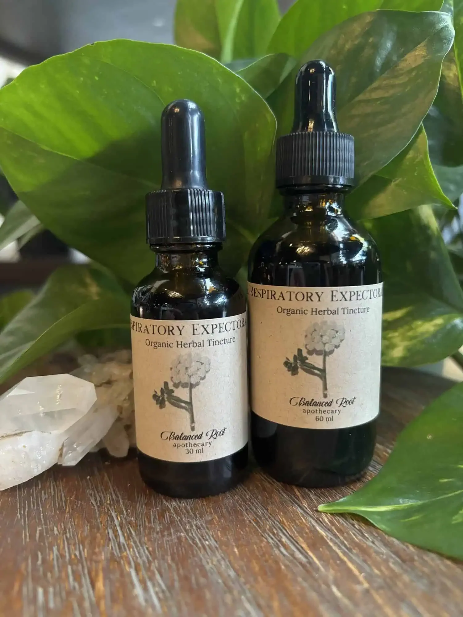 Respiratory Expectorant Tincture