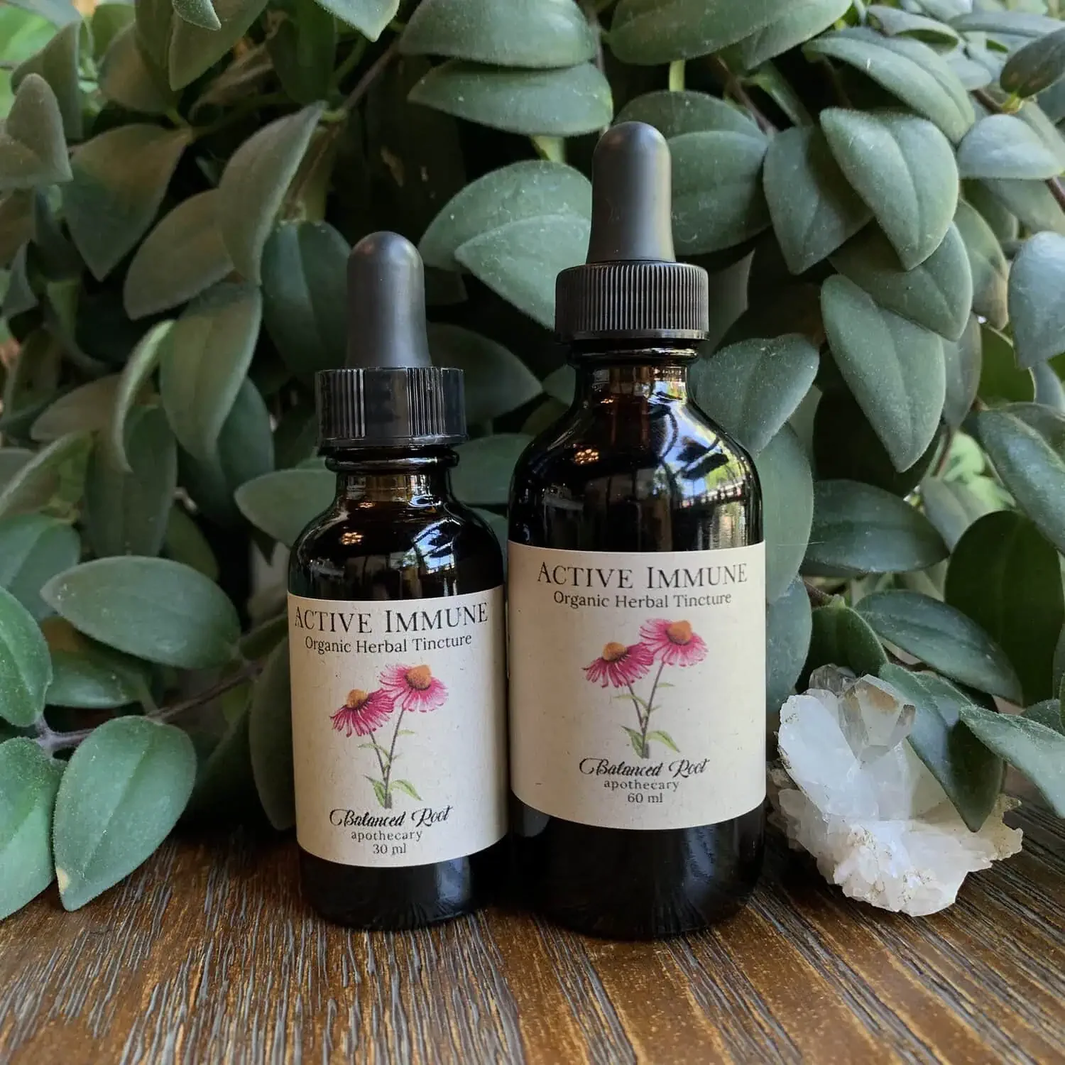 Active Immune Tincture