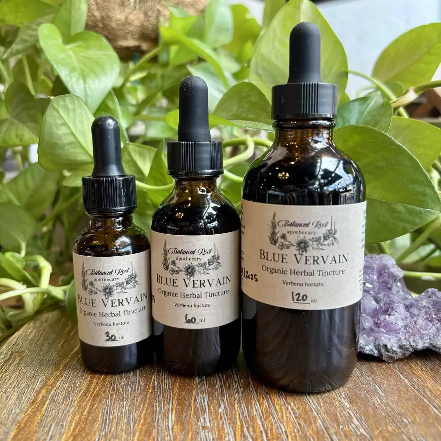 Blue Vervain Tincture