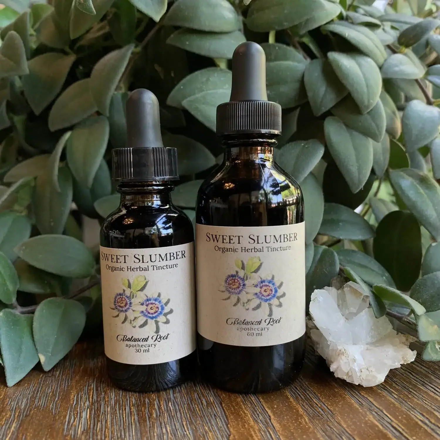 Sweet Slumber Tincture