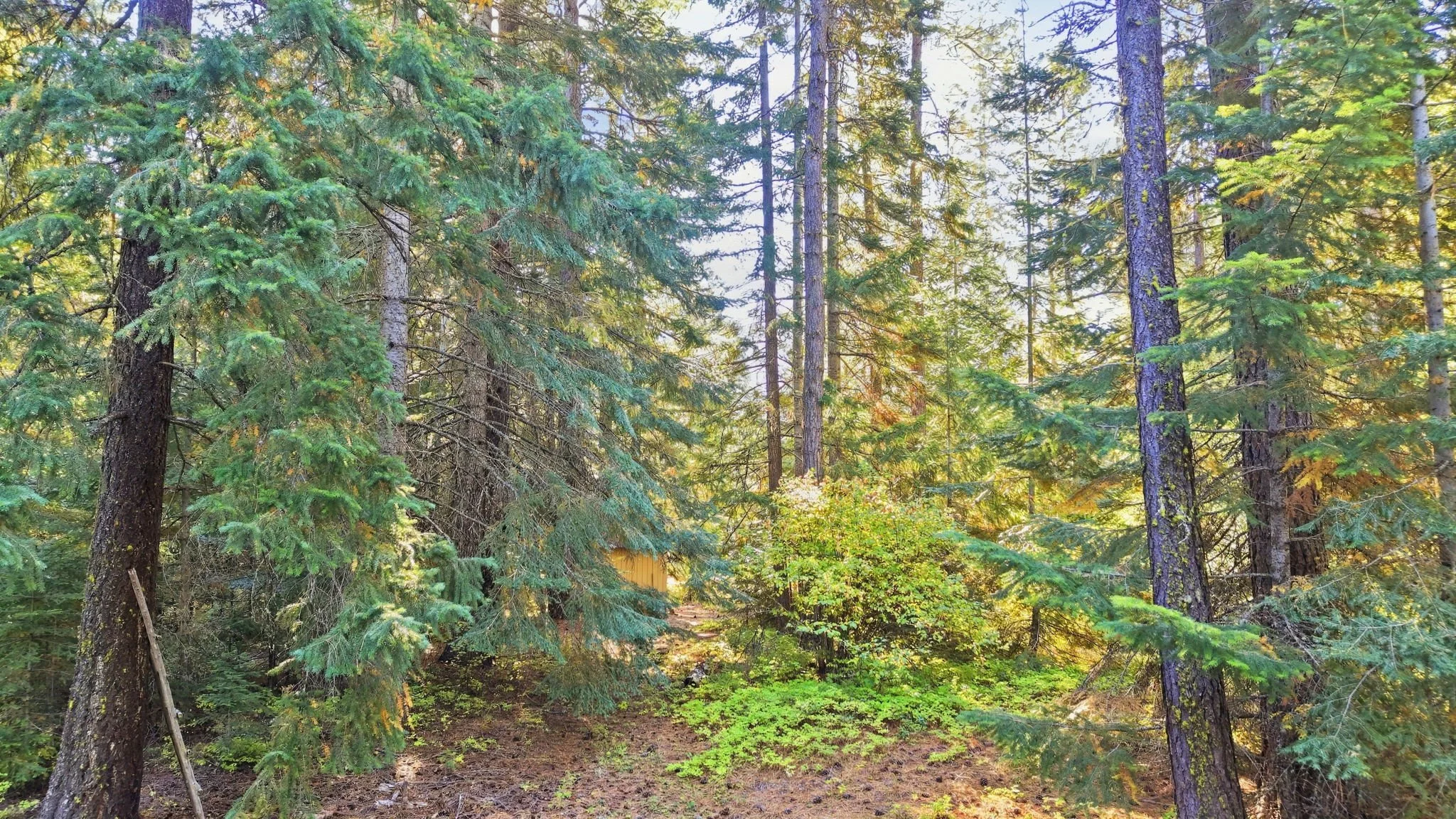 31-web-or-mls-Ground View40.jpg