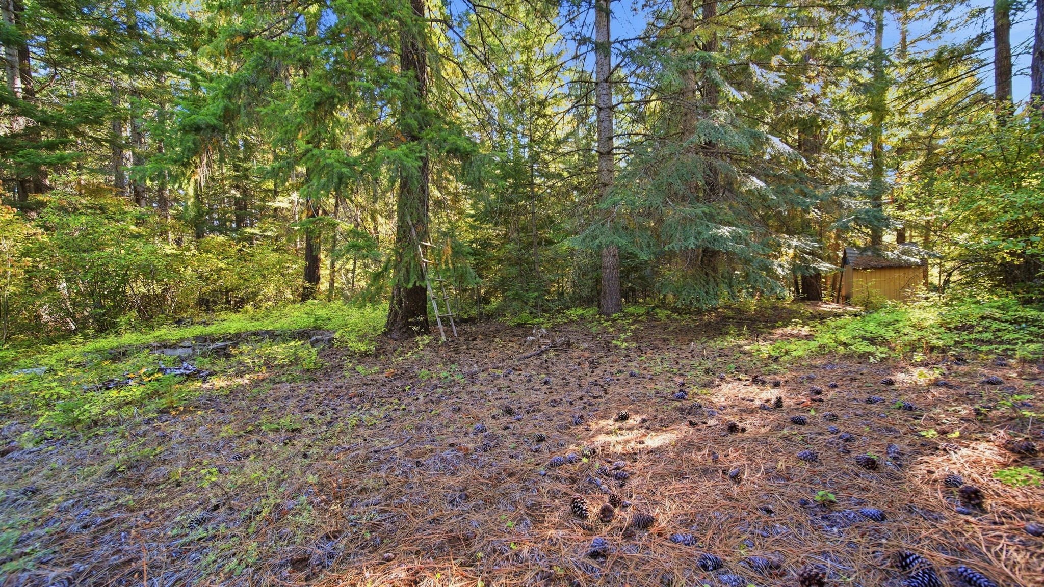48-web-or-mls-Ground View18.jpg