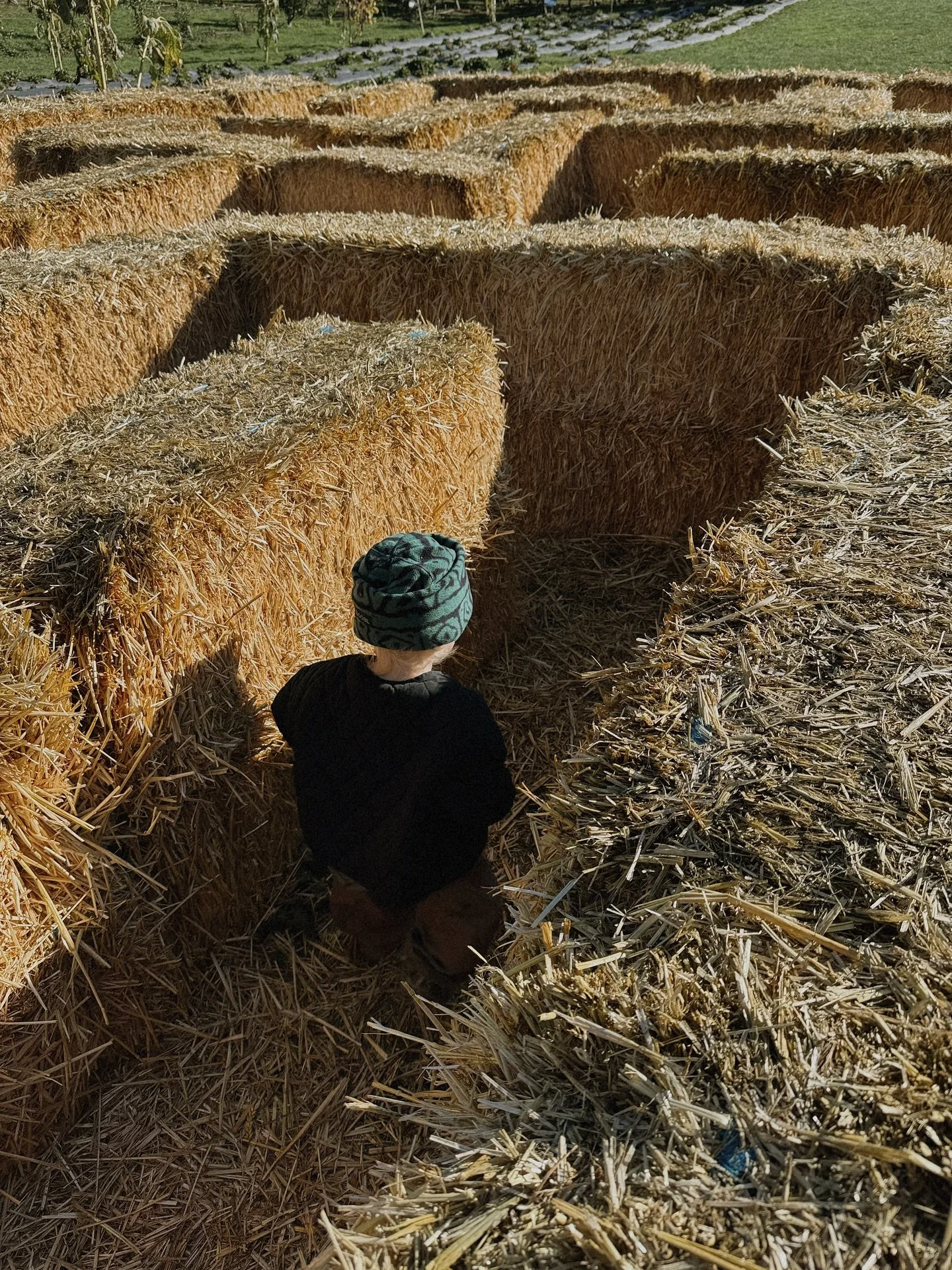 Pumpkin patch spam