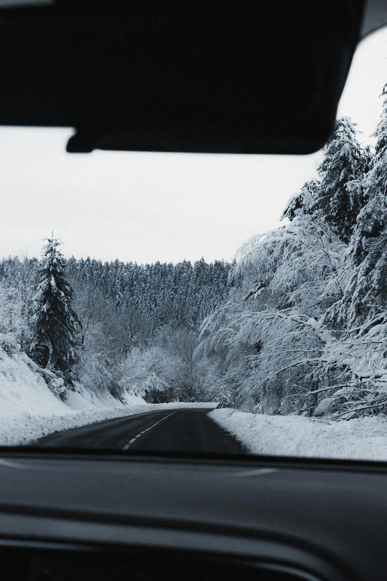 Snowy fun around Hood River &amp; Mt. Hood