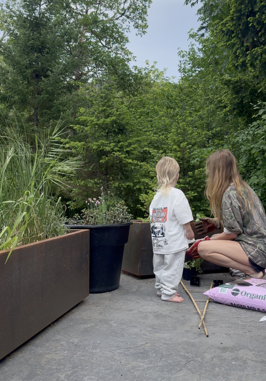 May 2026: What to Plant in Your Garden Right Now