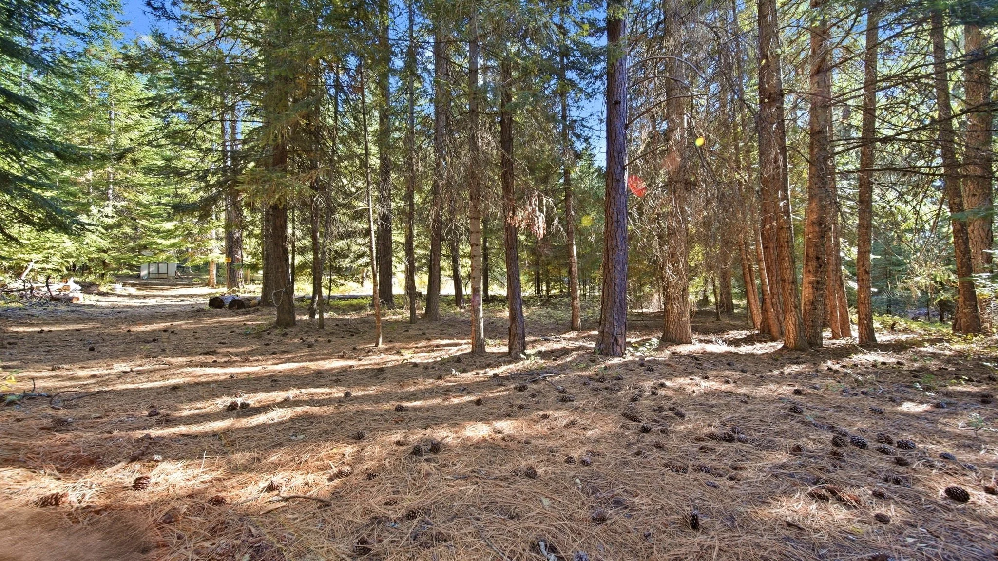 58-web-or-mls-Ground View32.jpg