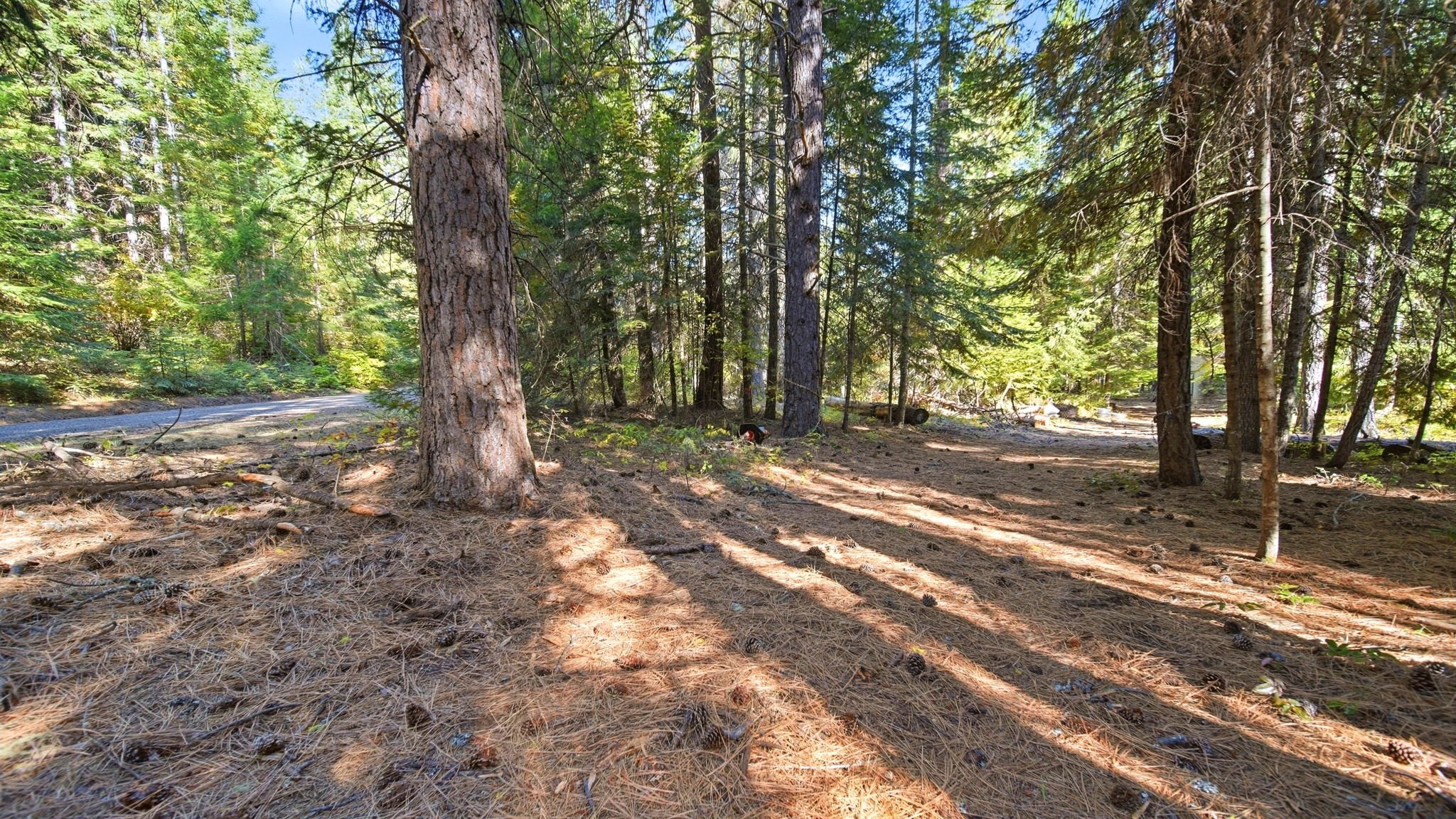 56-web-or-mls-Ground View31.jpg