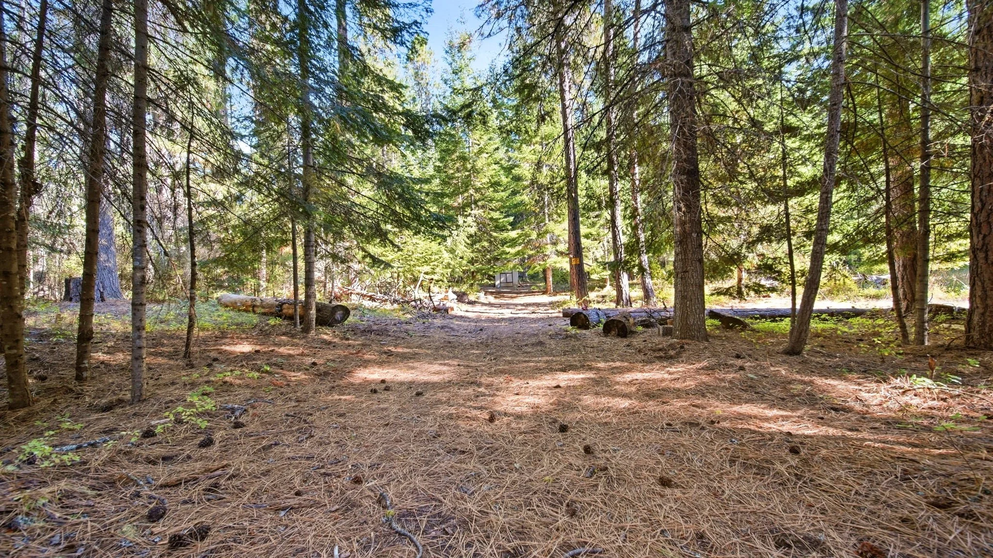 62-web-or-mls-Ground View33.jpg